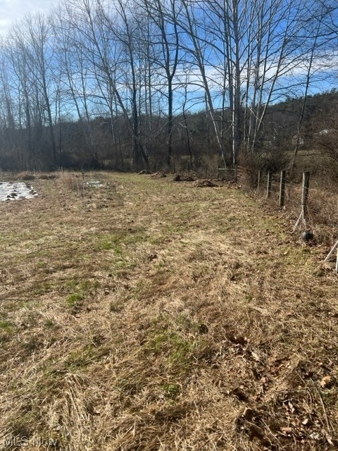 0 Buckner Bend Road Walker, WV 26180 - Photo 11 of 13