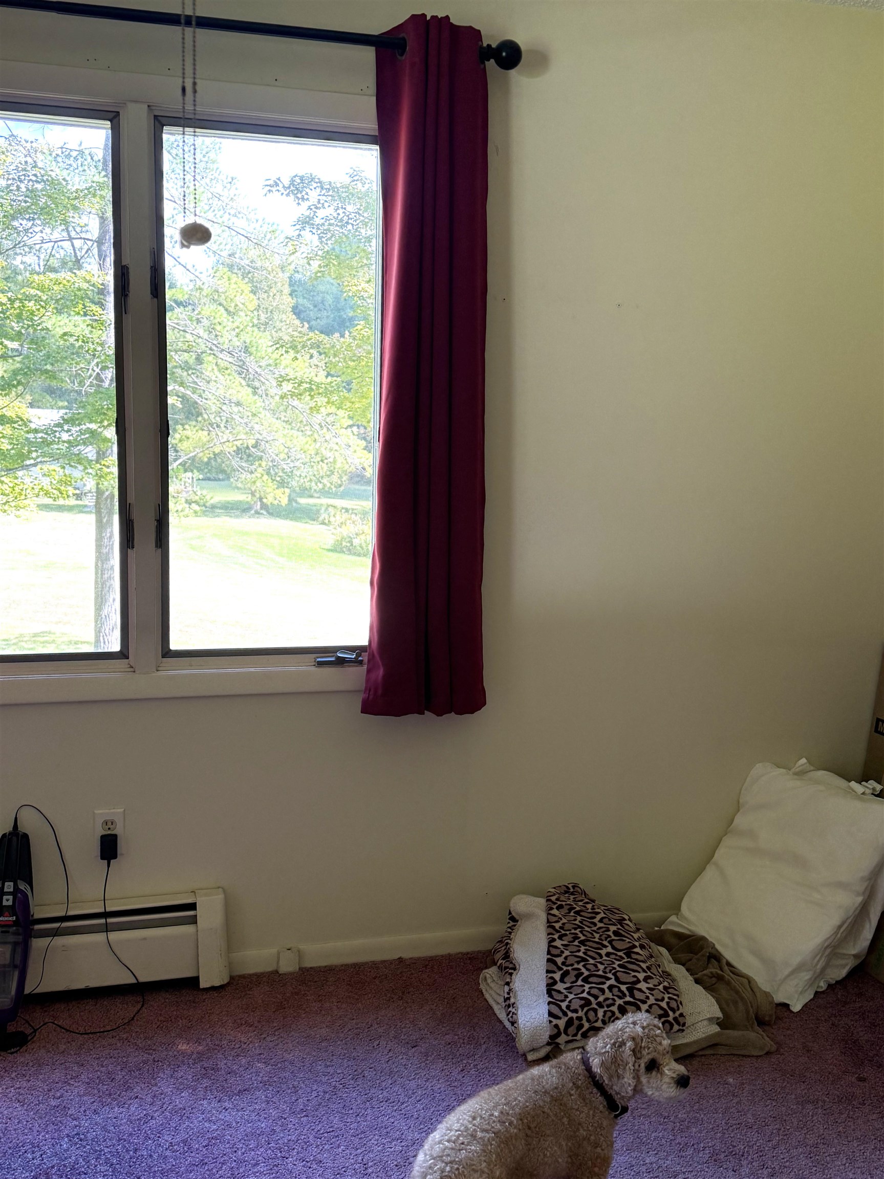 15172 Clark's Mill Road Interlochen, MI 49643 - Photo 16 of 69 1950615-2715dd49-aaee-4f2a-bcb4-c9d76a93f1d1.JPG