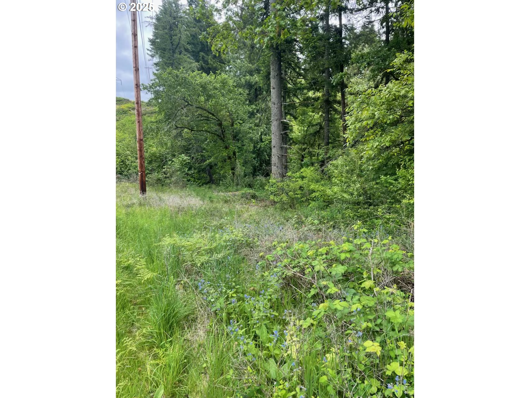 Carson Depot Road Carson, WA 98610 - Photo 3 of 9