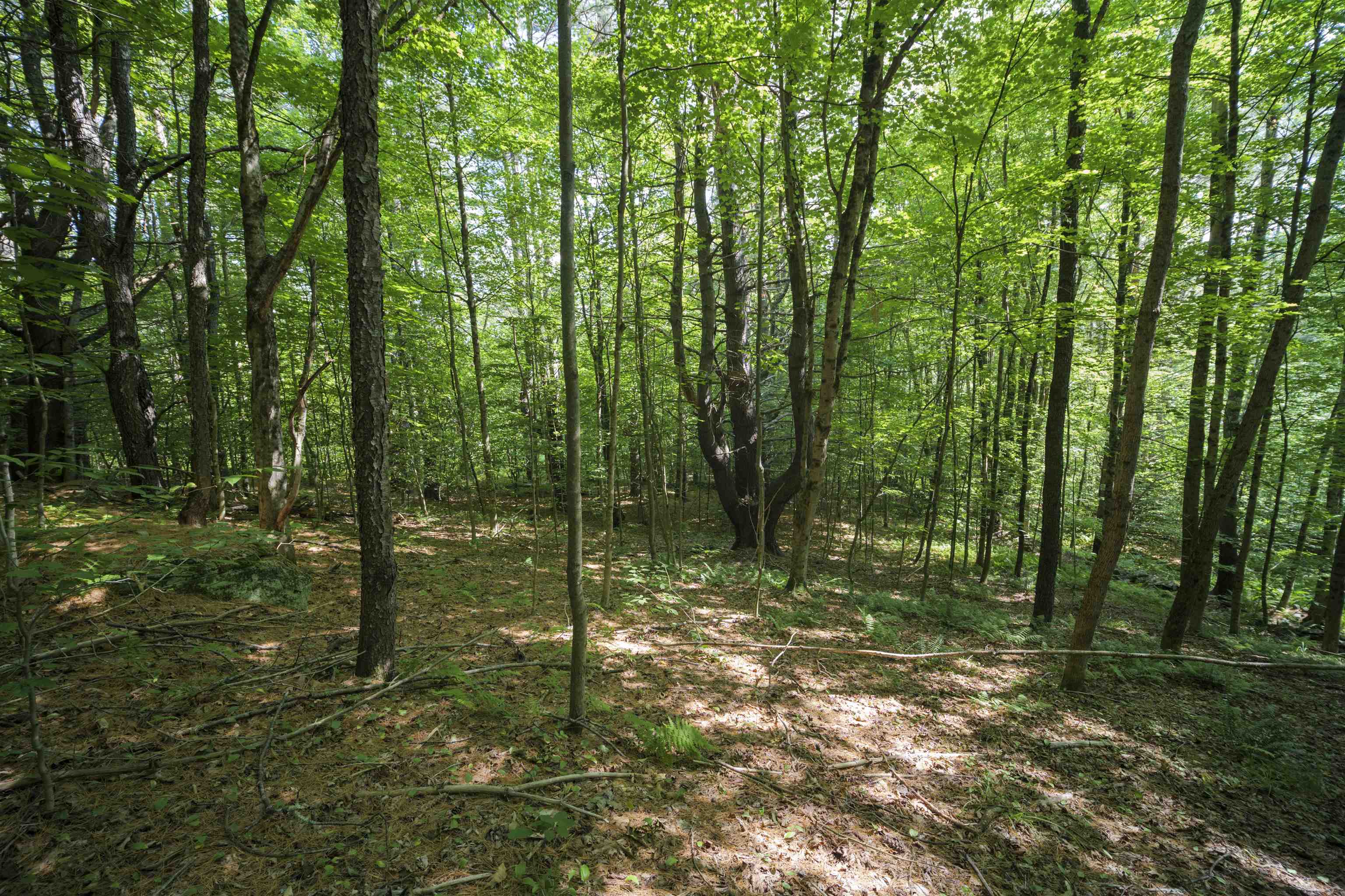 0 Howe Farm Road Jamaica, VT 05343 - Photo 23 of 25
