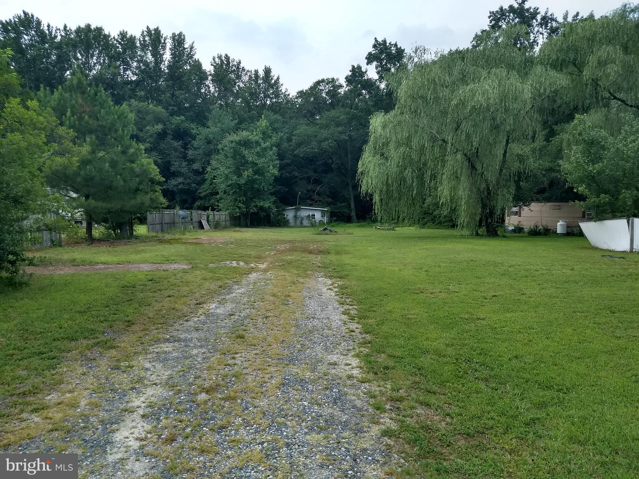 32799 Johnson Road Salisbury, MD 21804 - Photo 4 of 10 Driveway headed back to storage building.