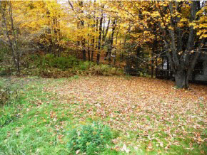 20 Spring Street Colebrook, NH 03576 - Photo 15 of 15