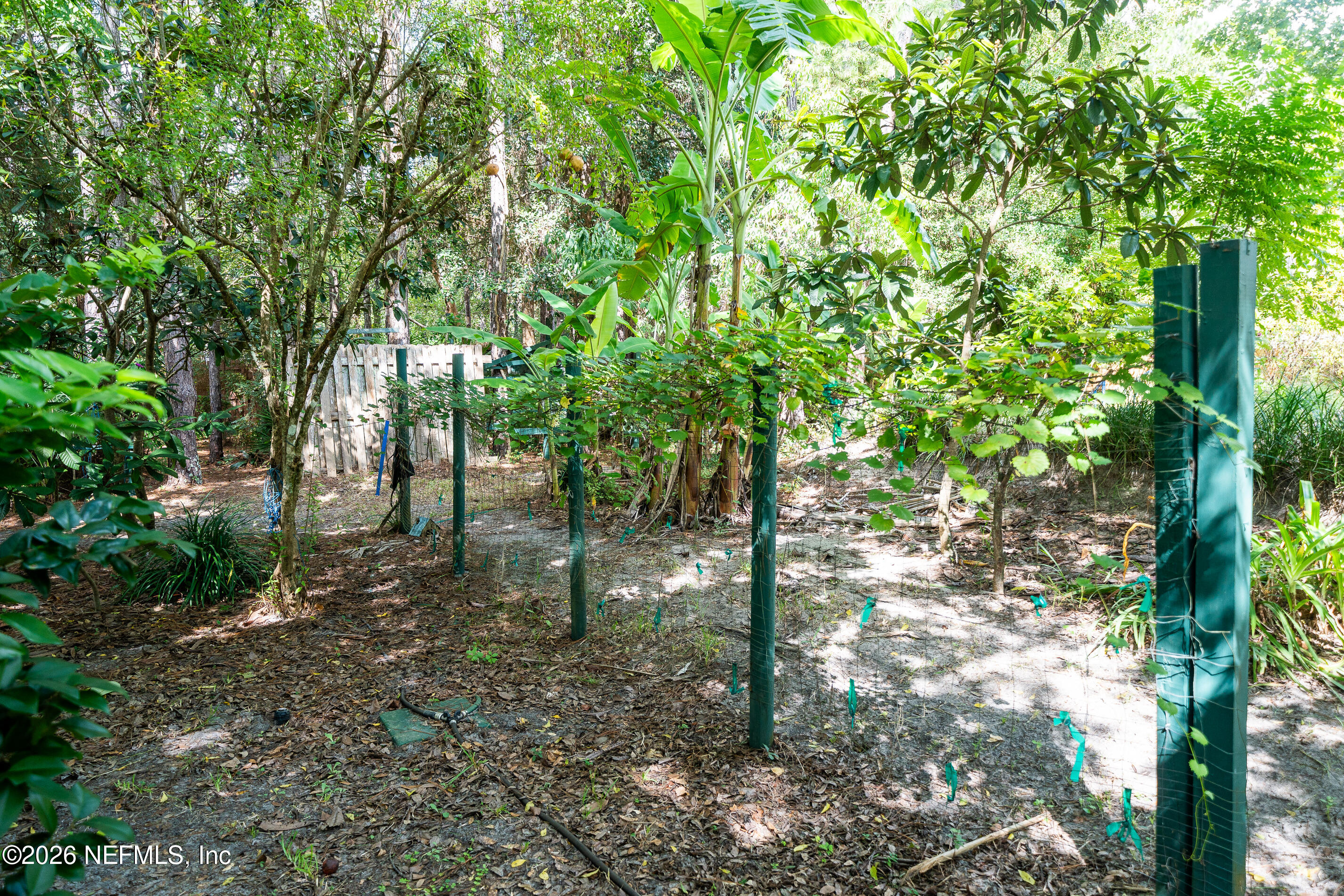 3120 Longleaf Ranch Circle Middleburg, FL 32068 - Photo 44 of 52 Backyard