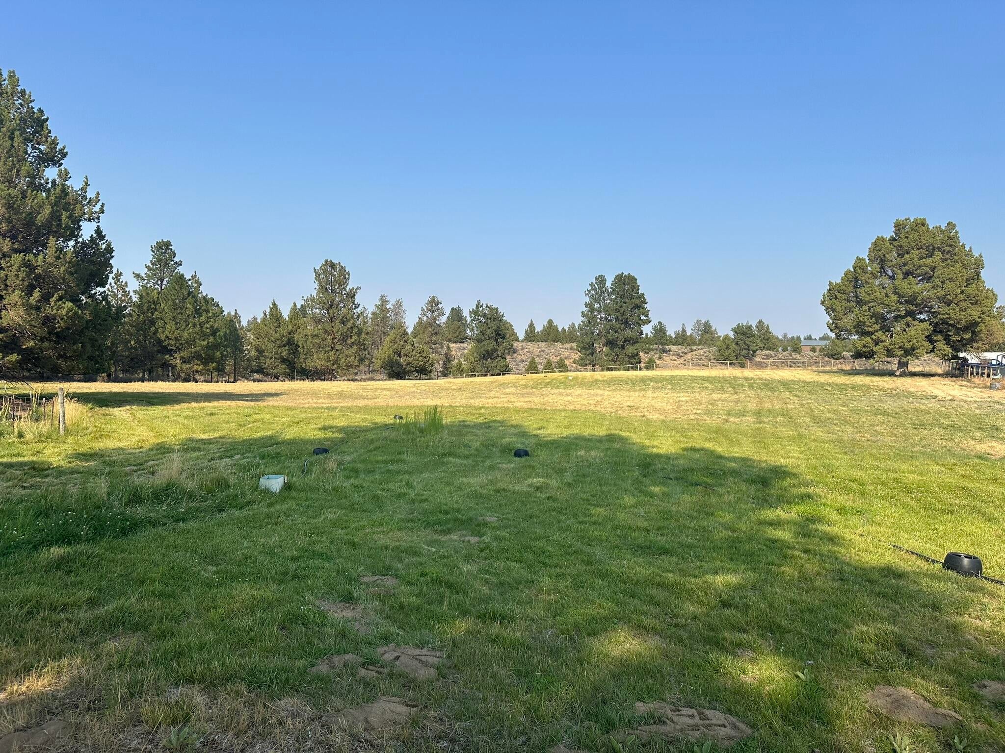 60384 Arnold Market Road Bend, OR 97702 - Photo 81 of 93 Irrigated Pasture (2)