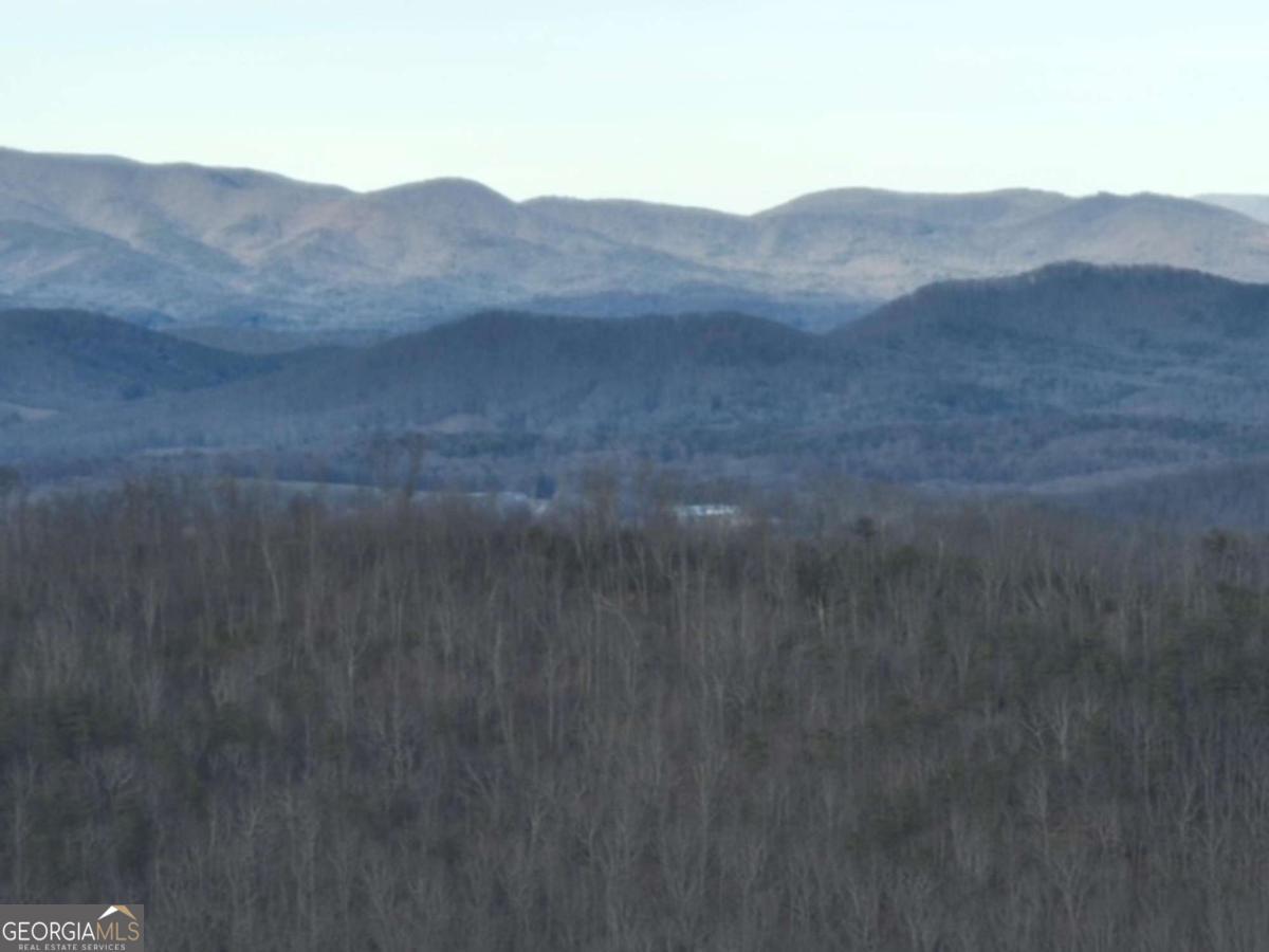 280 Andes Ridge Talking Rock, GA 30175 - Photo 33 of 45