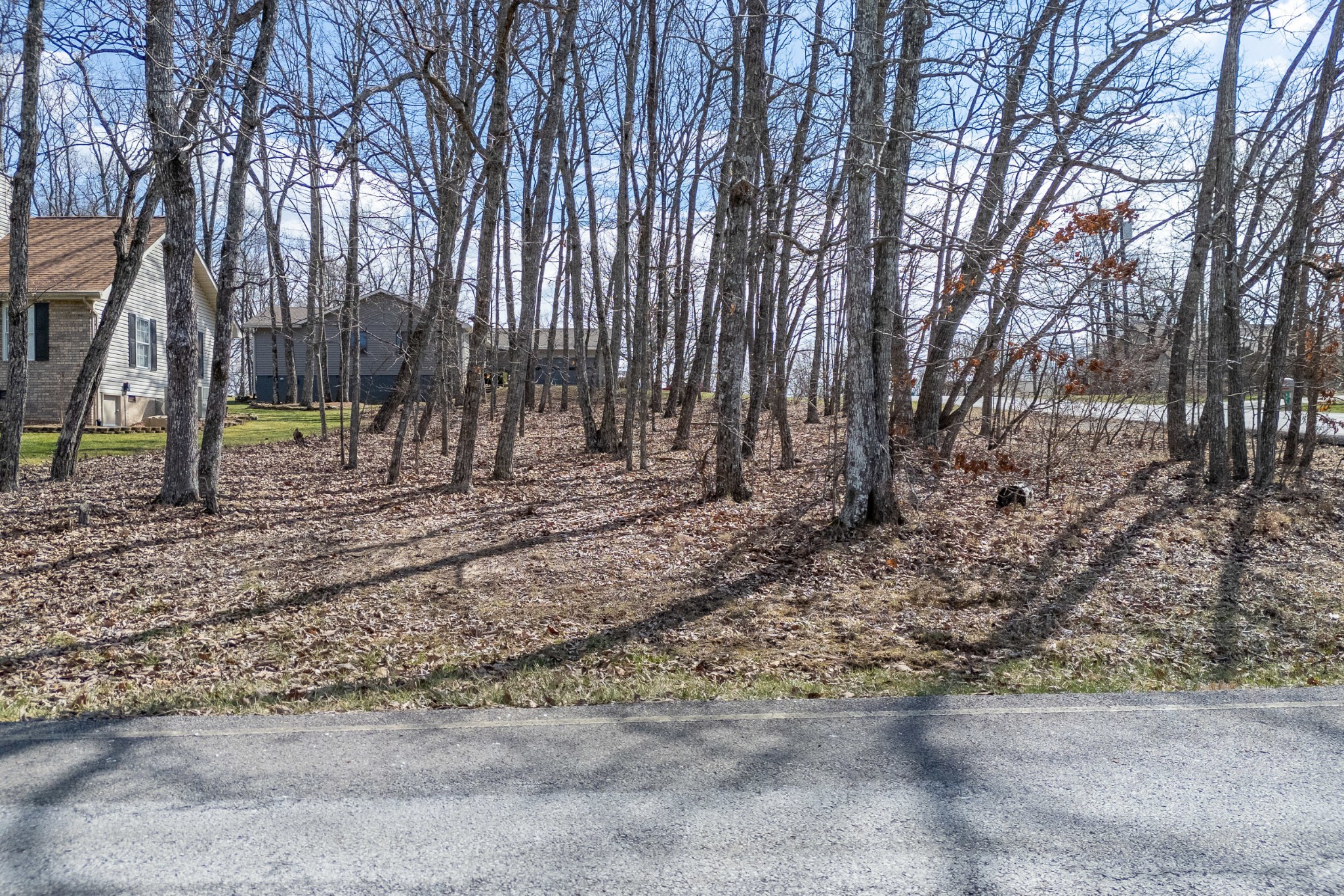 175 Greenwood Road Crossville, TN 38558 - Photo 2 of 14 a view of a backyard with large trees
