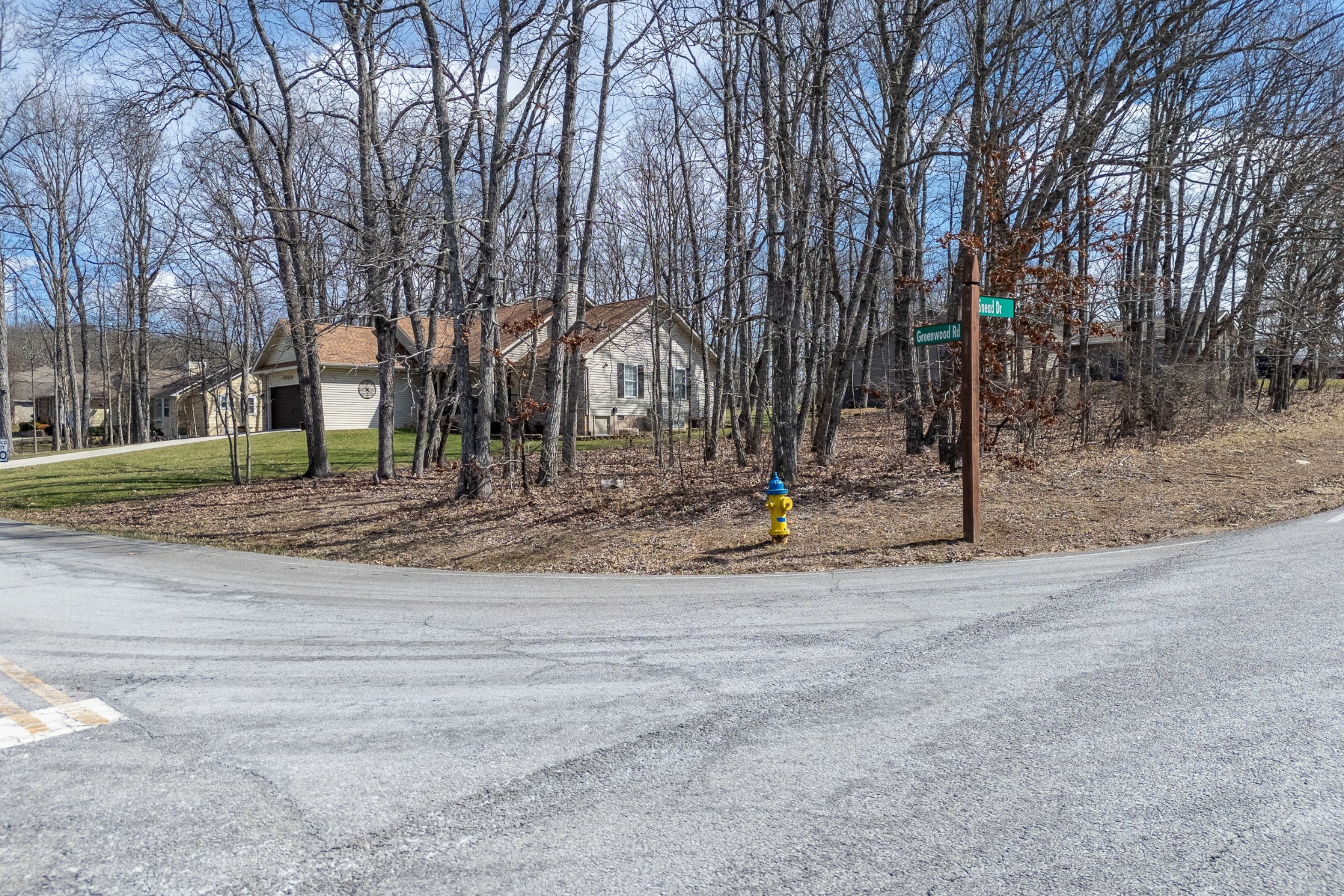 175 Greenwood Road Crossville, TN 38558 - Photo 4 of 14 a backyard of a house with trees