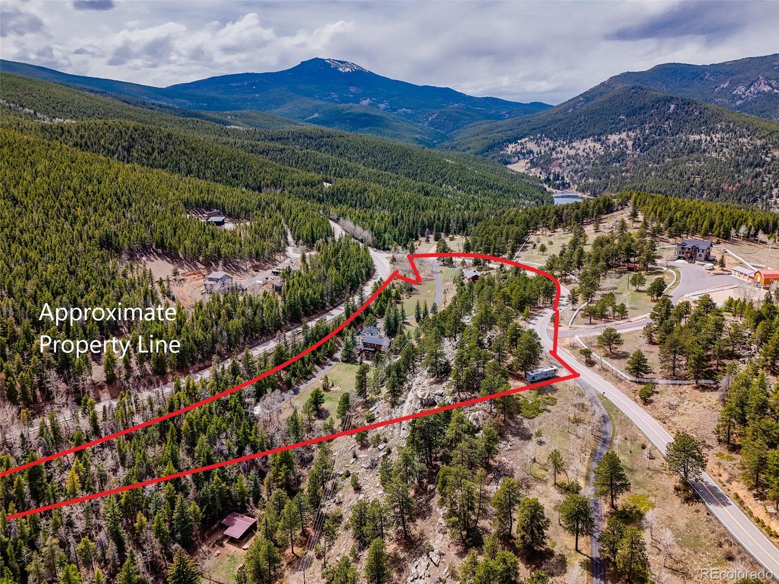 24 Pine Valley Road Evergreen, CO 80439 - Photo 43 of 50 a view of a lot of flowers and trees