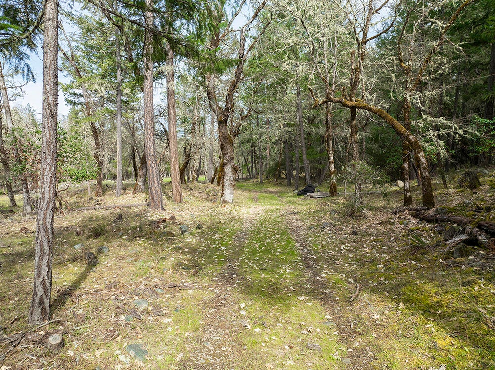 15150 Water Gap Road Williams, OR 97544 - Photo 27 of 53 33