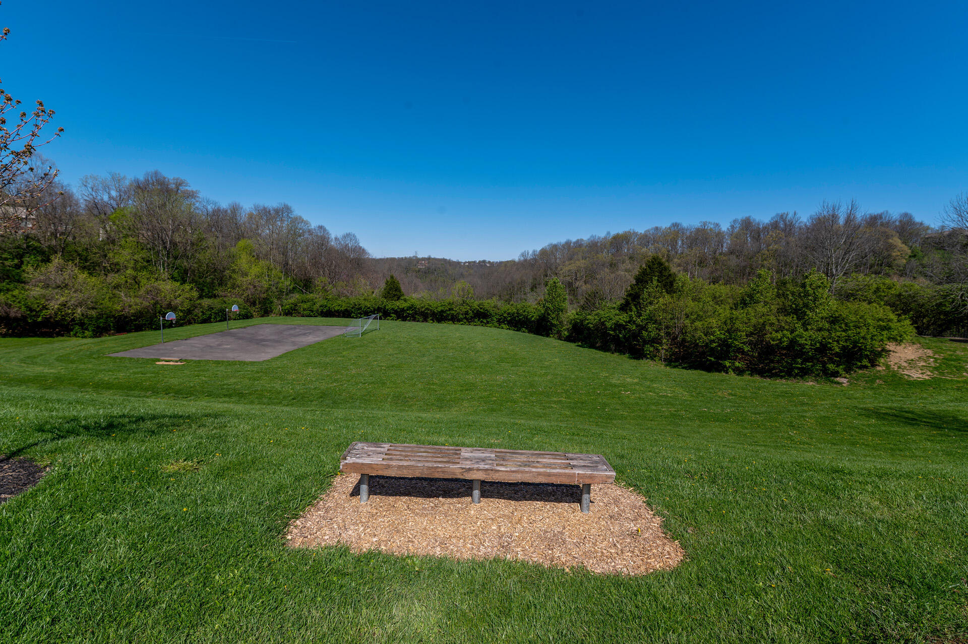 207 Ridgepointe Drive Cold Spring, KY 41076 - Photo 50 of 50