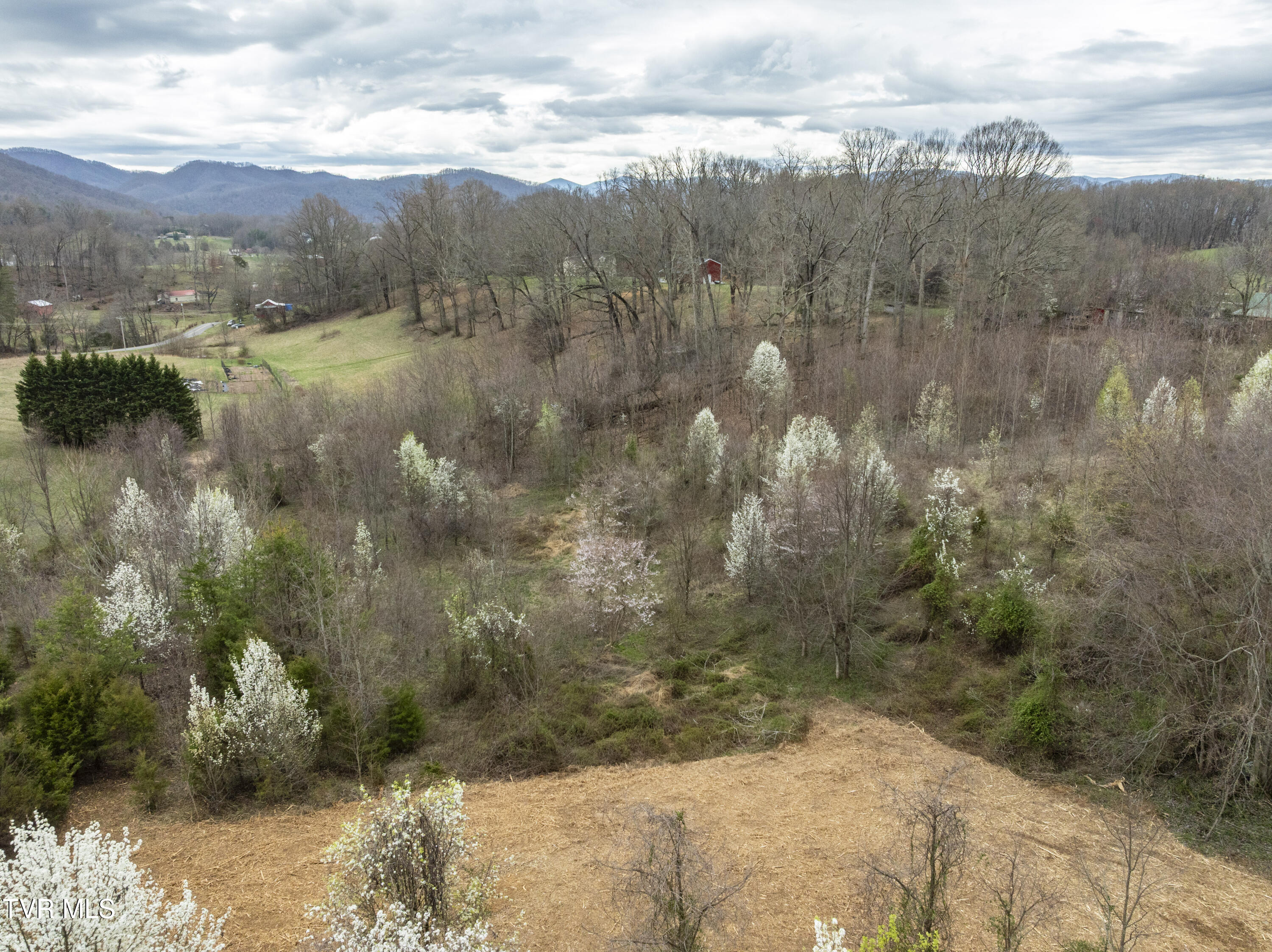 Tbd Ralph Hoss Road, Unit 4 Jonesborough, TN 37659 - Photo 18 of 19 RalphHoss-19