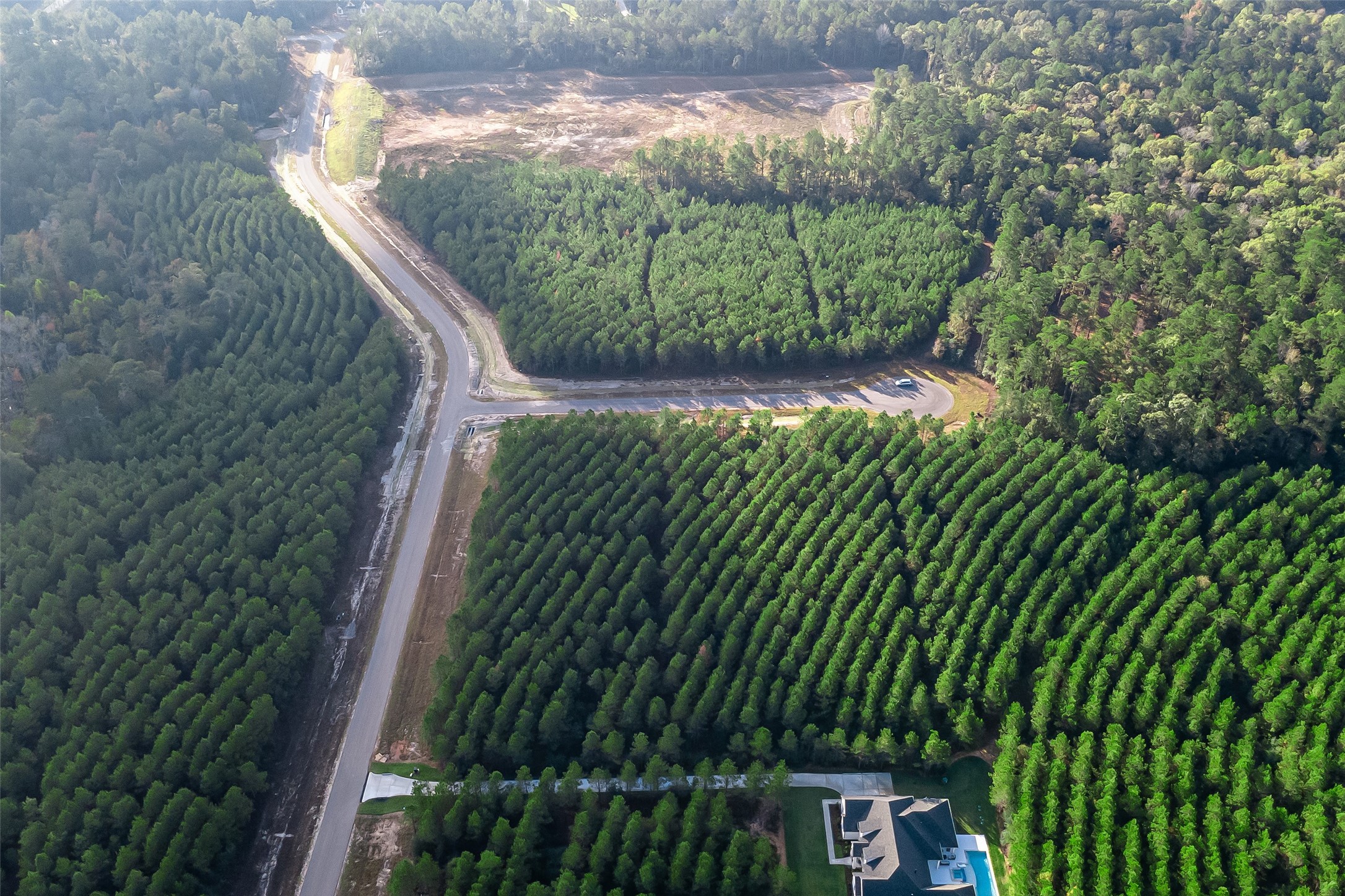 16326 Ridge Oak Road Willis, TX 77378 - Photo 11 of 15 a close up of a plant in a garden