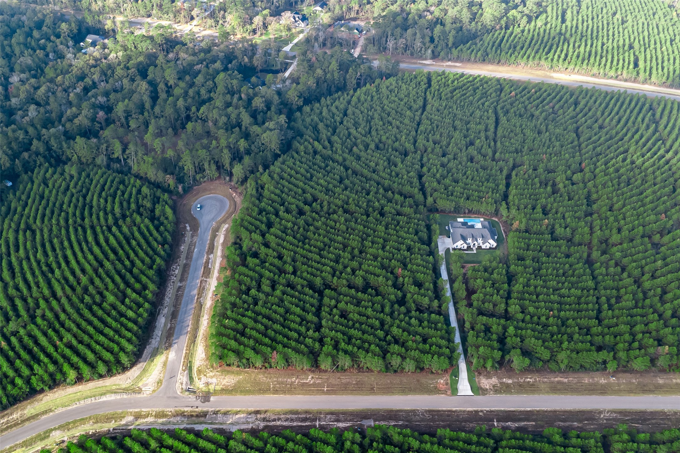 16326 Ridge Oak Road Willis, TX 77378 - Photo 14 of 15 a view of a back yard