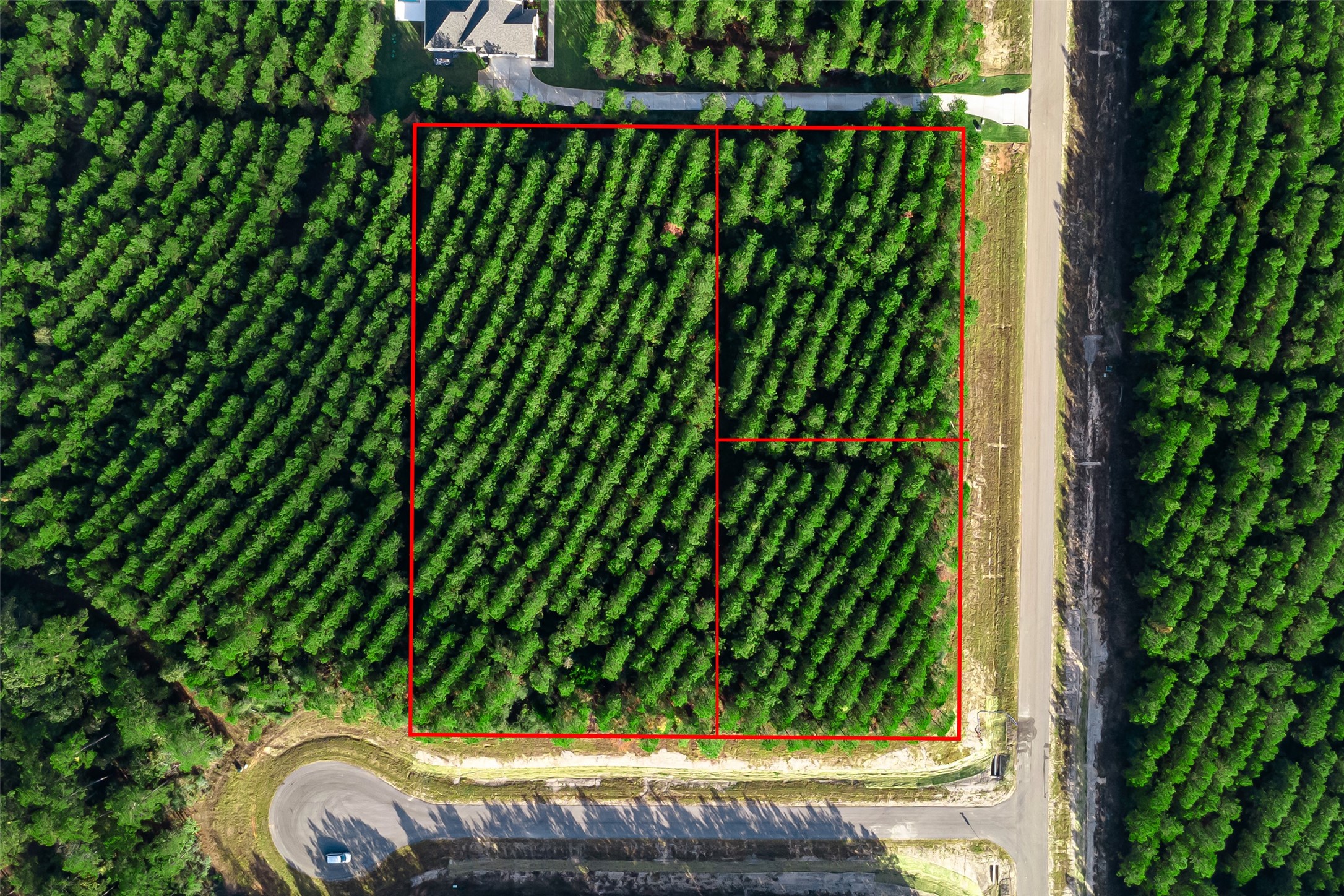 16326 Ridge Oak Road Willis, TX 77378 - Photo 5 of 15 a view of a backyard