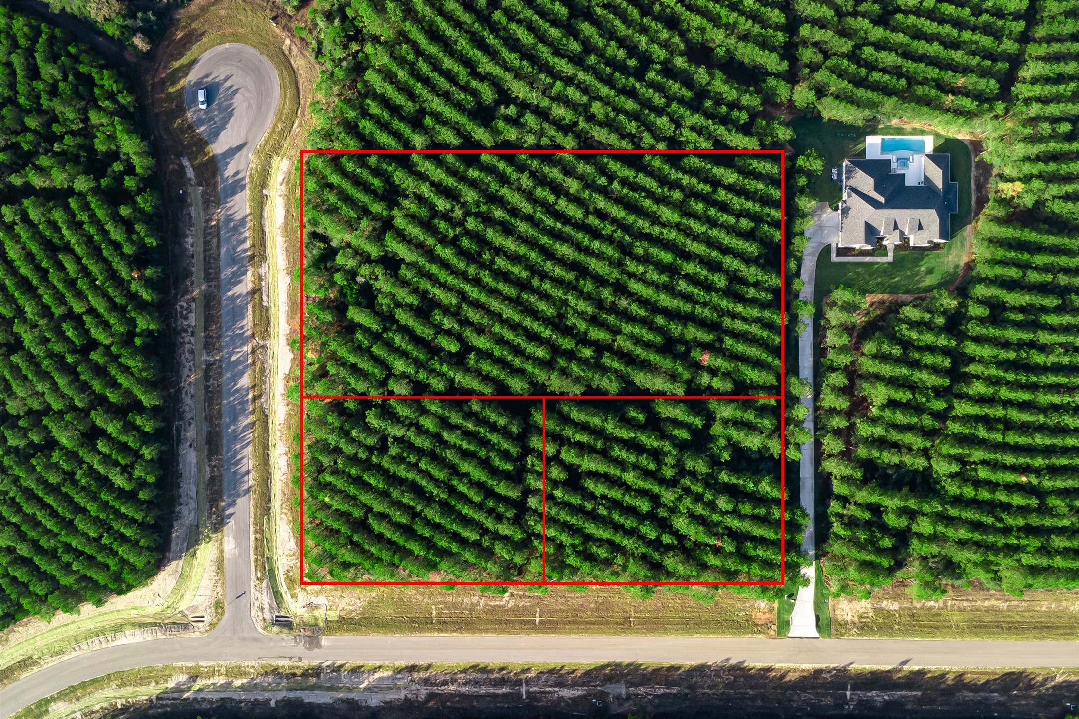 16326 Ridge Oak Road Willis, TX 77378 - Photo 8 of 15 a view of a yard with plants