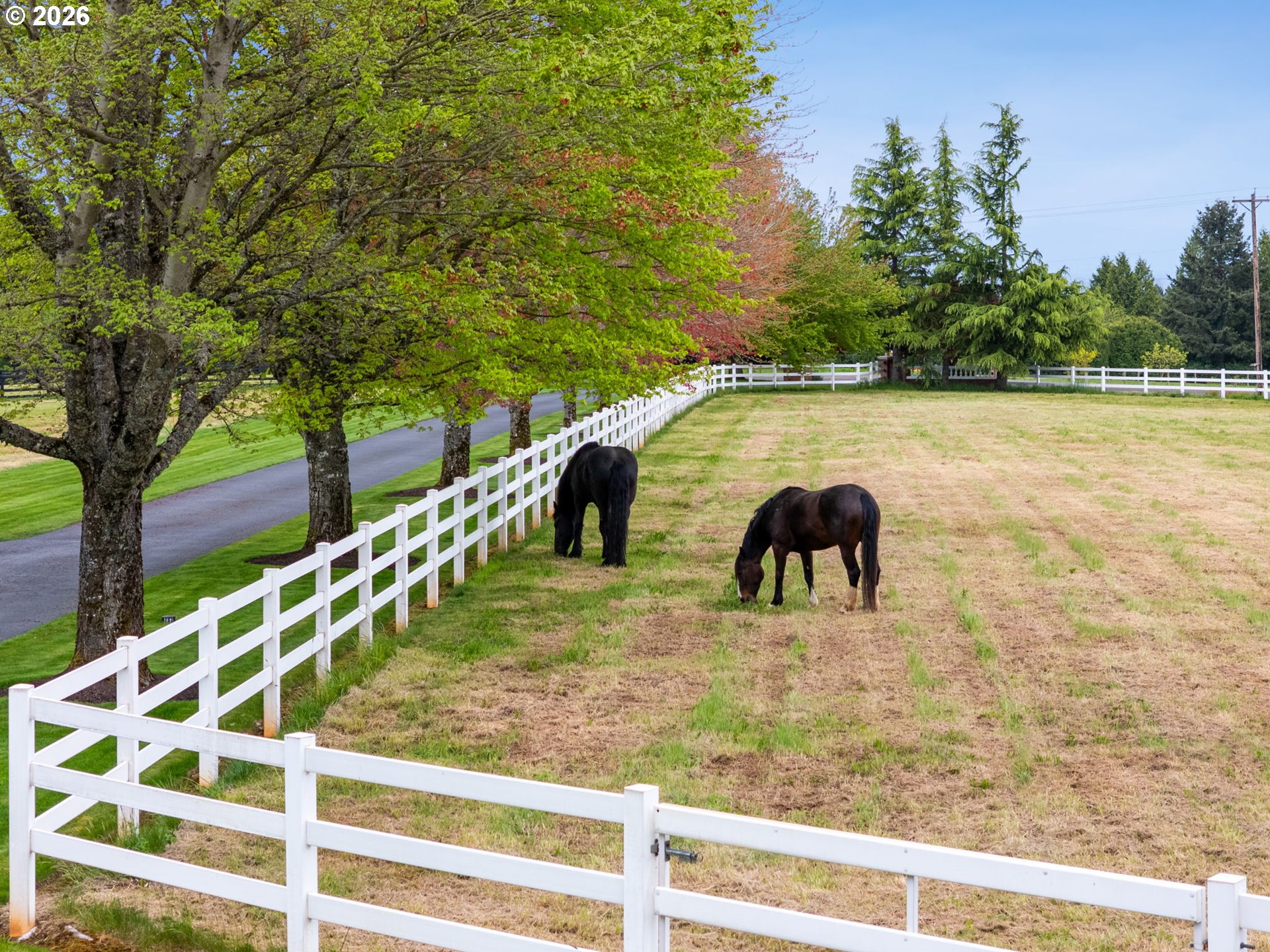 14161 Southwest Tooze Road Sherwood, OR 97140 - Photo 47 of 48