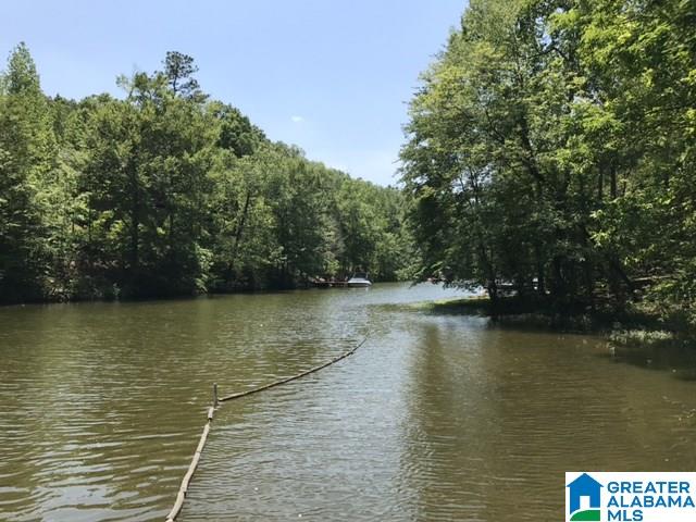 Wright Way Drive, Unit 3 Wedowee, AL 36278 - Photo 1 of 8