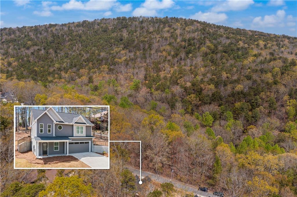 305 Ridgewood Drive Waleska, GA 30183 - Photo 3 of 56