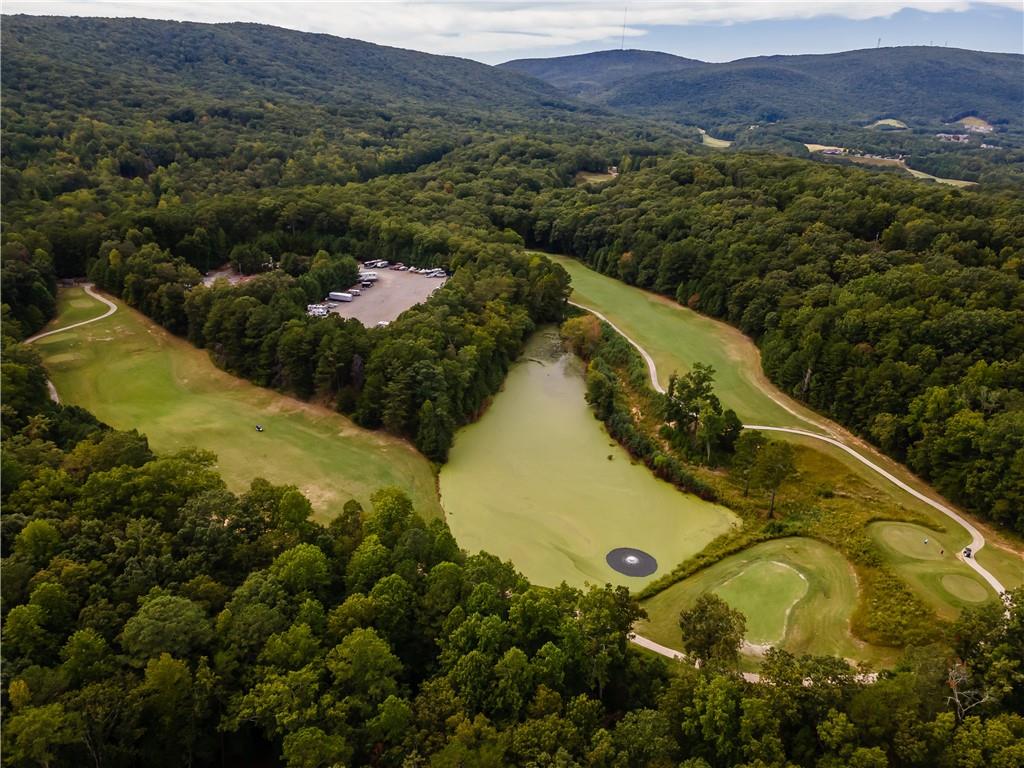 305 Ridgewood Drive Waleska, GA 30183 - Photo 45 of 56 a view of a swimming pool with a yard