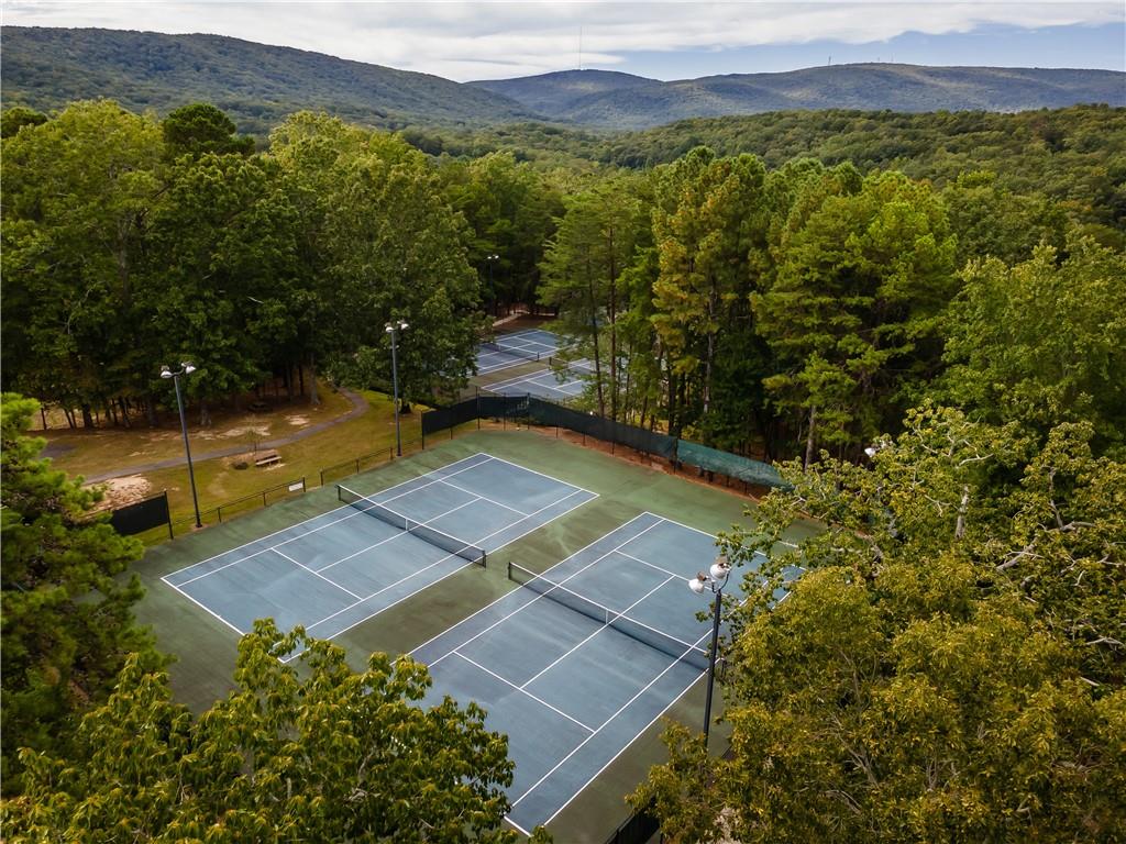 305 Ridgewood Drive Waleska, GA 30183 - Photo 48 of 56 a view of a yard with an outdoor space