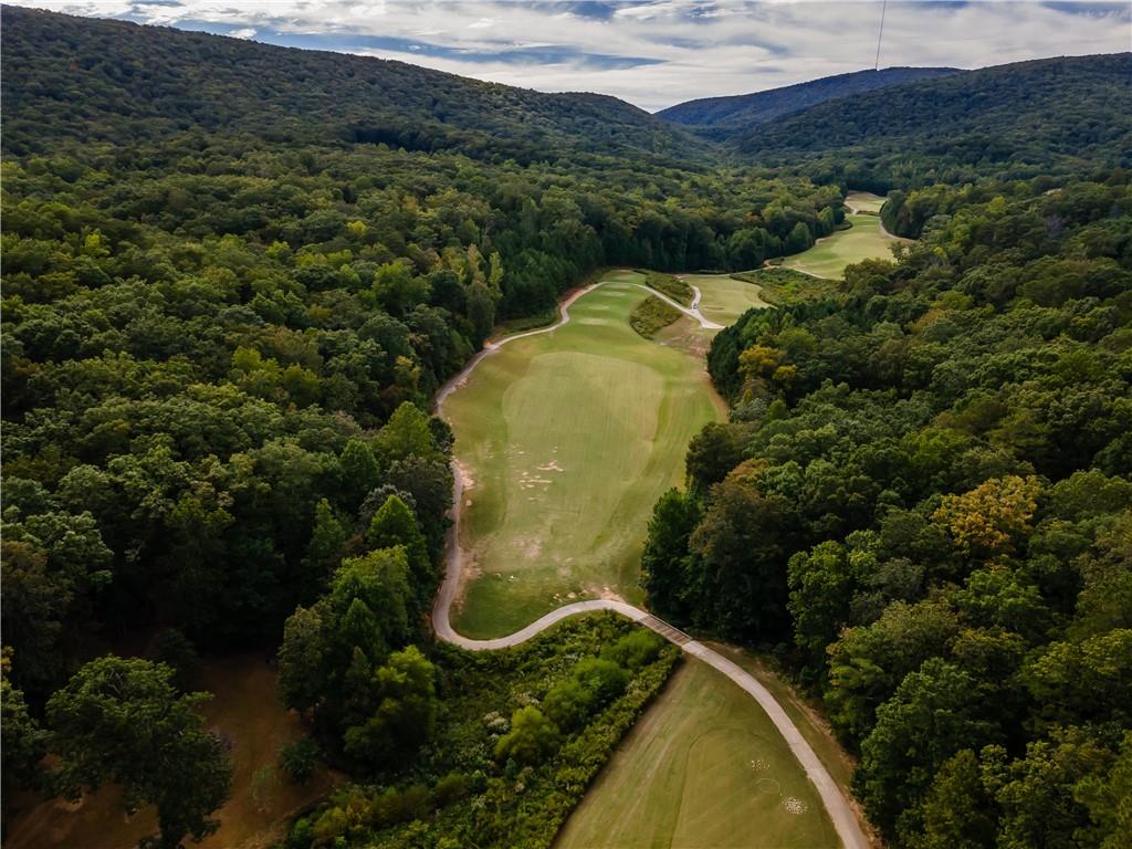 305 Ridgewood Drive Waleska, GA 30183 - Photo 54 of 56 an aerial view of a house