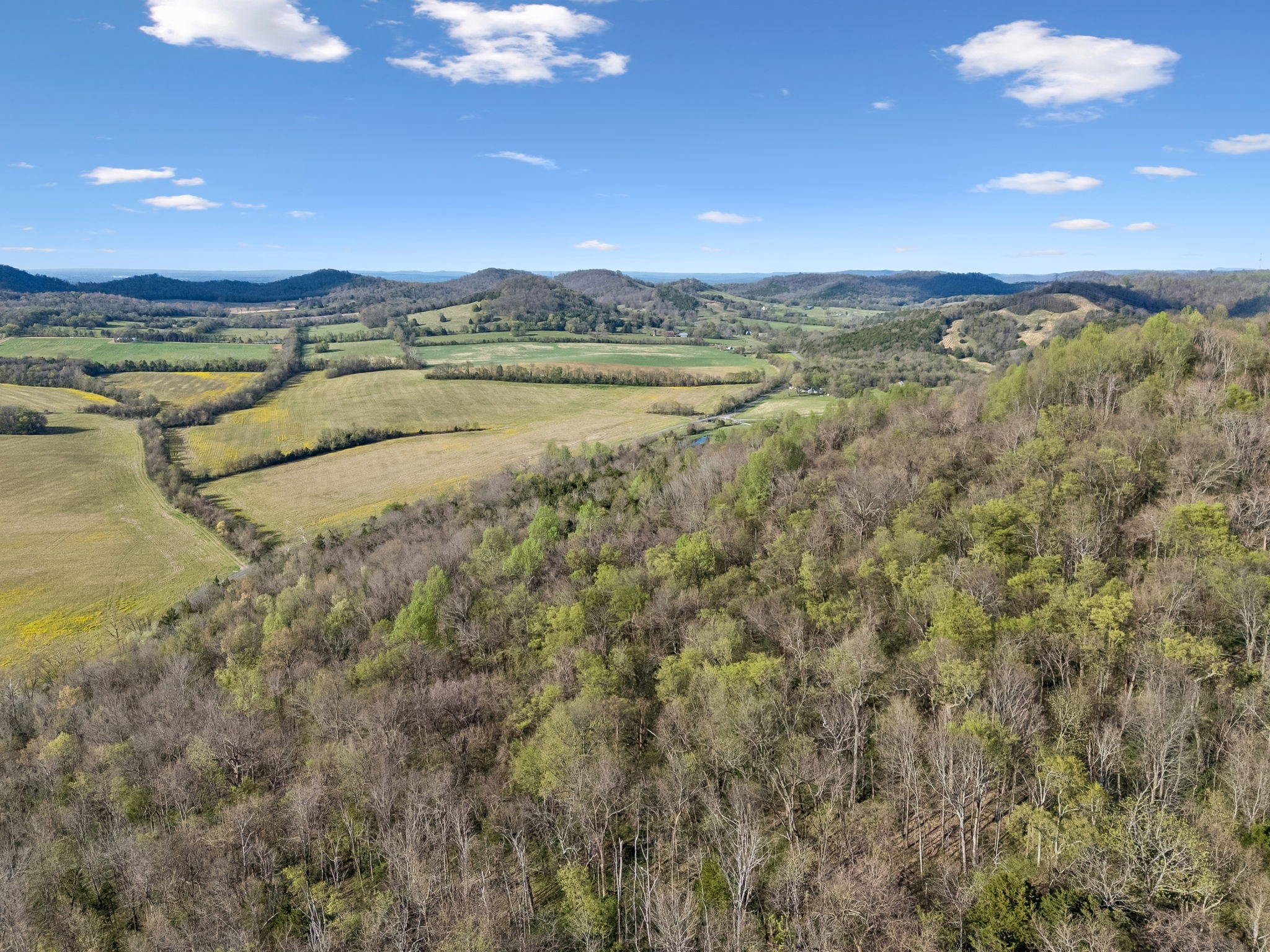 0 Beechwood Road Bell Buckle, TN 37020 - Photo 7 of 14 a view of lake and mountain