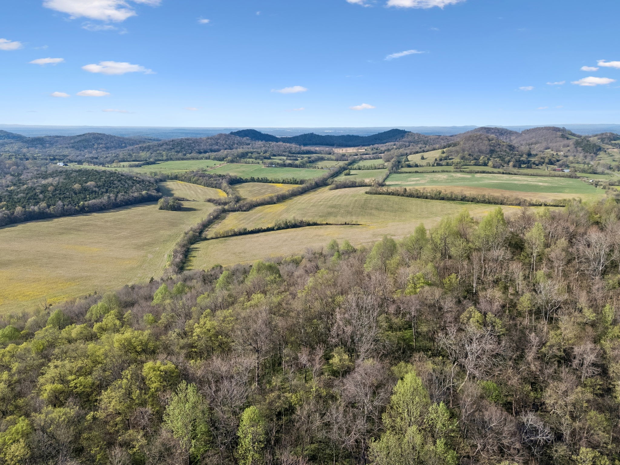 0 Beechwood Road Bell Buckle, TN 37020 - Photo 8 of 14 a view of an ocean and city
