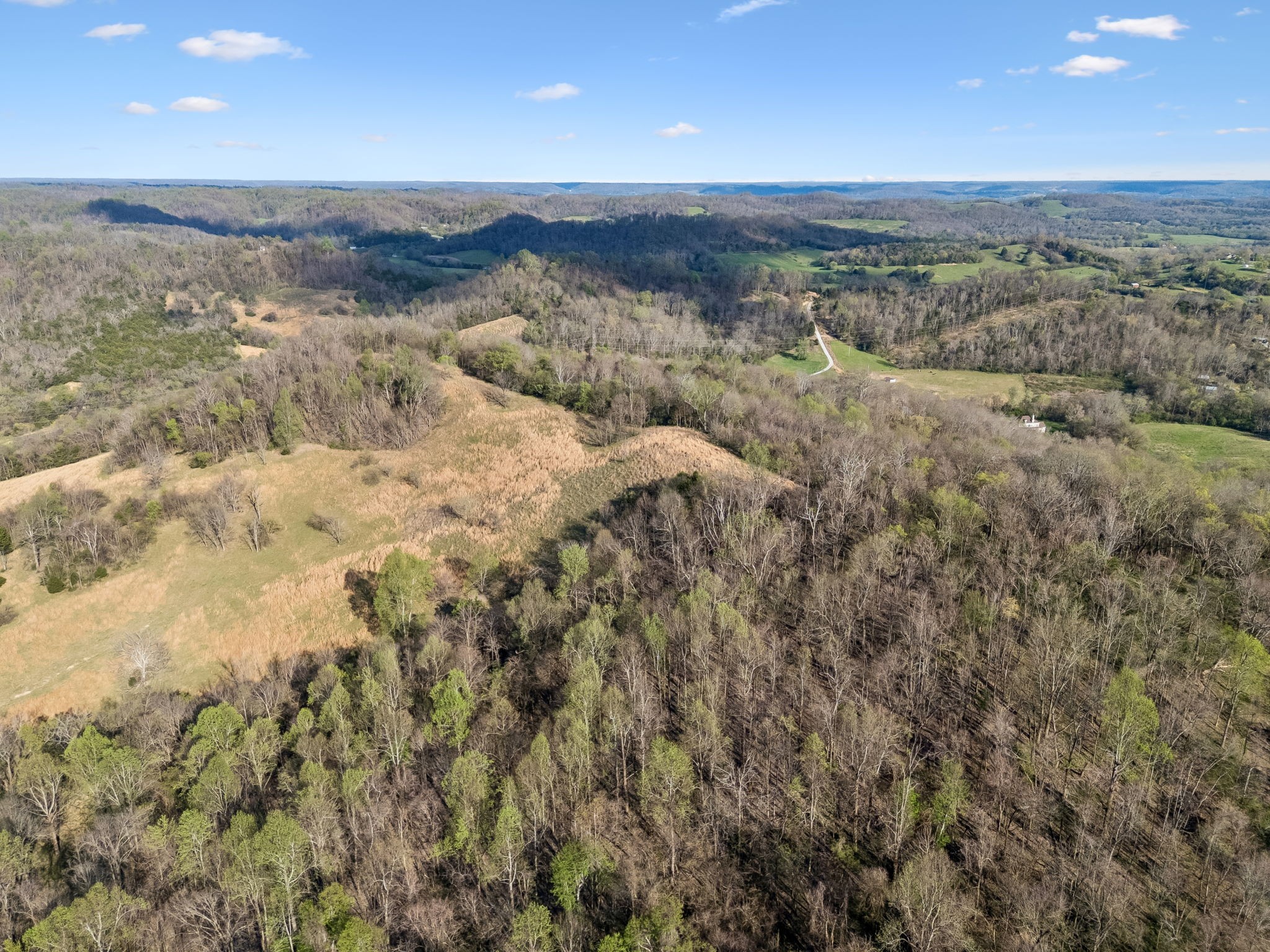 0 Beechwood Road Bell Buckle, TN 37020 - Photo 10 of 14 a view of an outdoor space and a mountain view in back