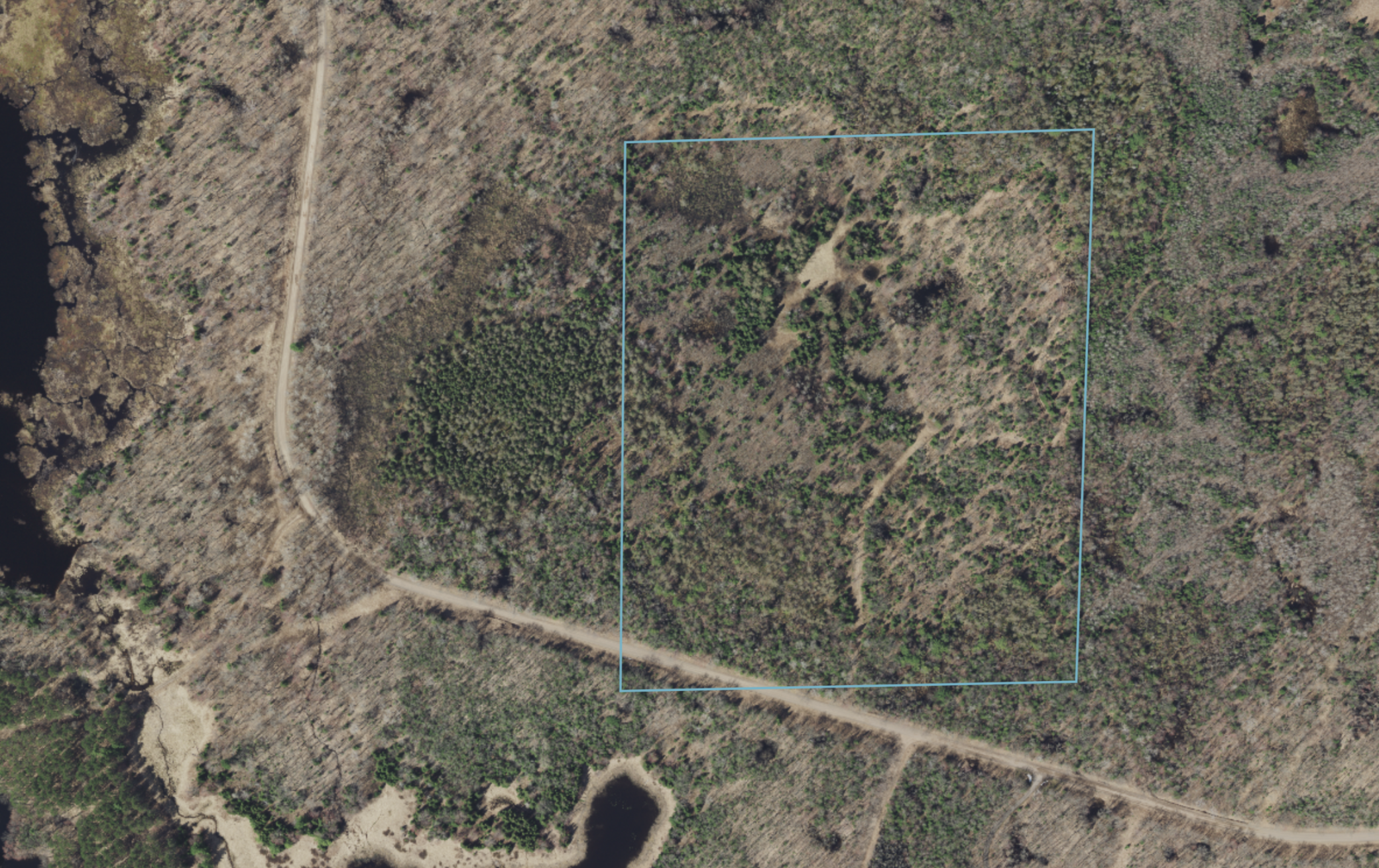 445-xx Club Lake Road Cable, WI 54821 - Photo 5 of 13