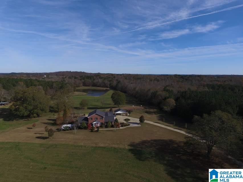 3258 Youngs Mill Road Lineville, AL 36266 - Photo 45 of 50