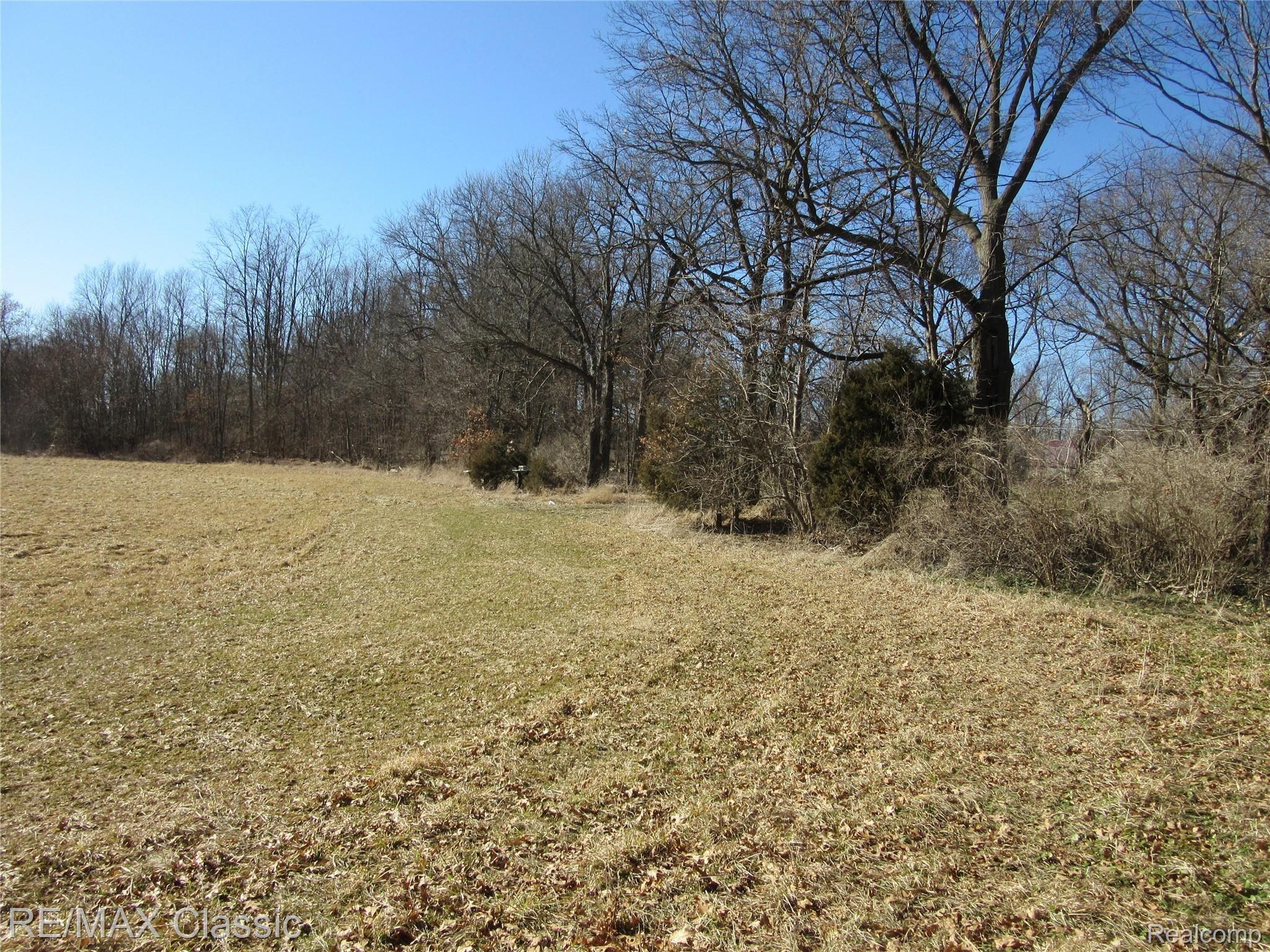 Lot 2 Lone Tree Road Milford, MI 48380 - Photo 2 of 3 Lone Tree Rd 008.JPG