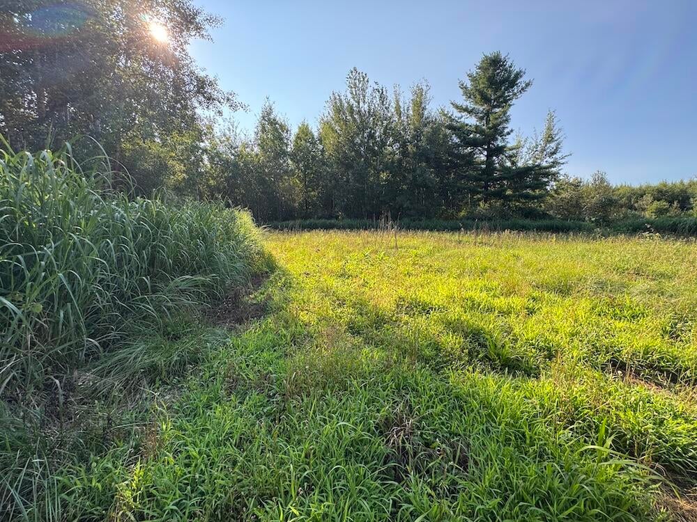 East Procunier Road Harrisville, MI 48740 - Photo 47 of 78 Gallery Image 47