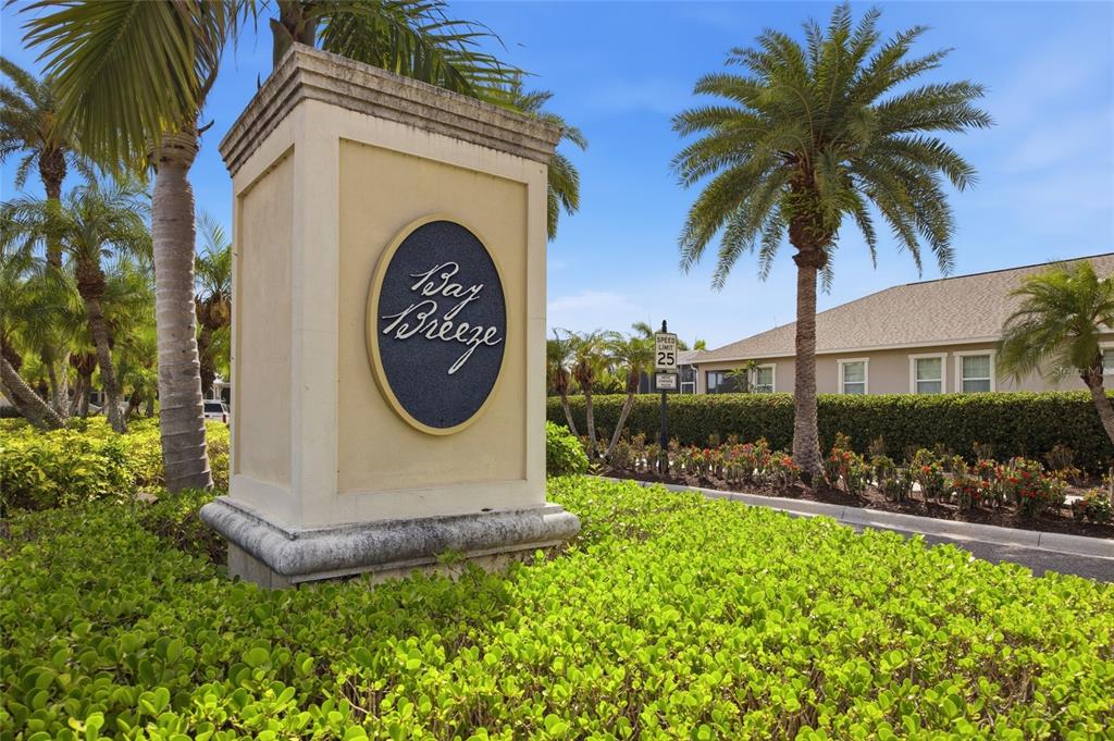 725 Winterside Drive Apollo Beach, FL 33572 - Photo 2 of 59
