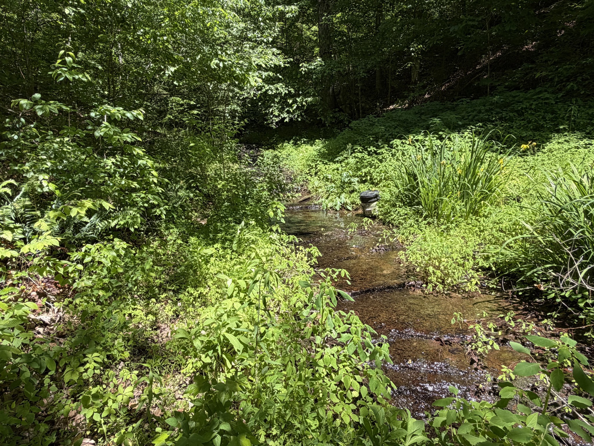 242 Cane Creek Road Hohenwald, TN 38462 - Photo 73 of 78 Gallery Image 73