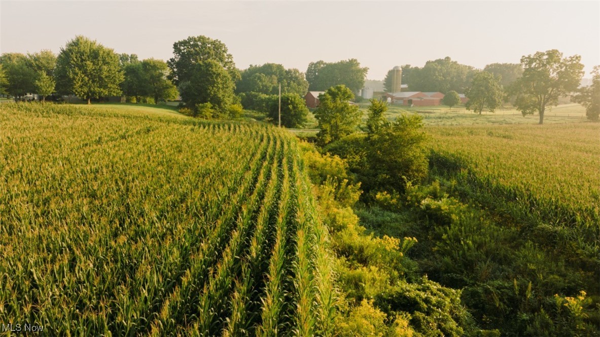 Huprick Road North Lawrence, OH 44666 - Photo 9 of 17 View of nature with a rural view