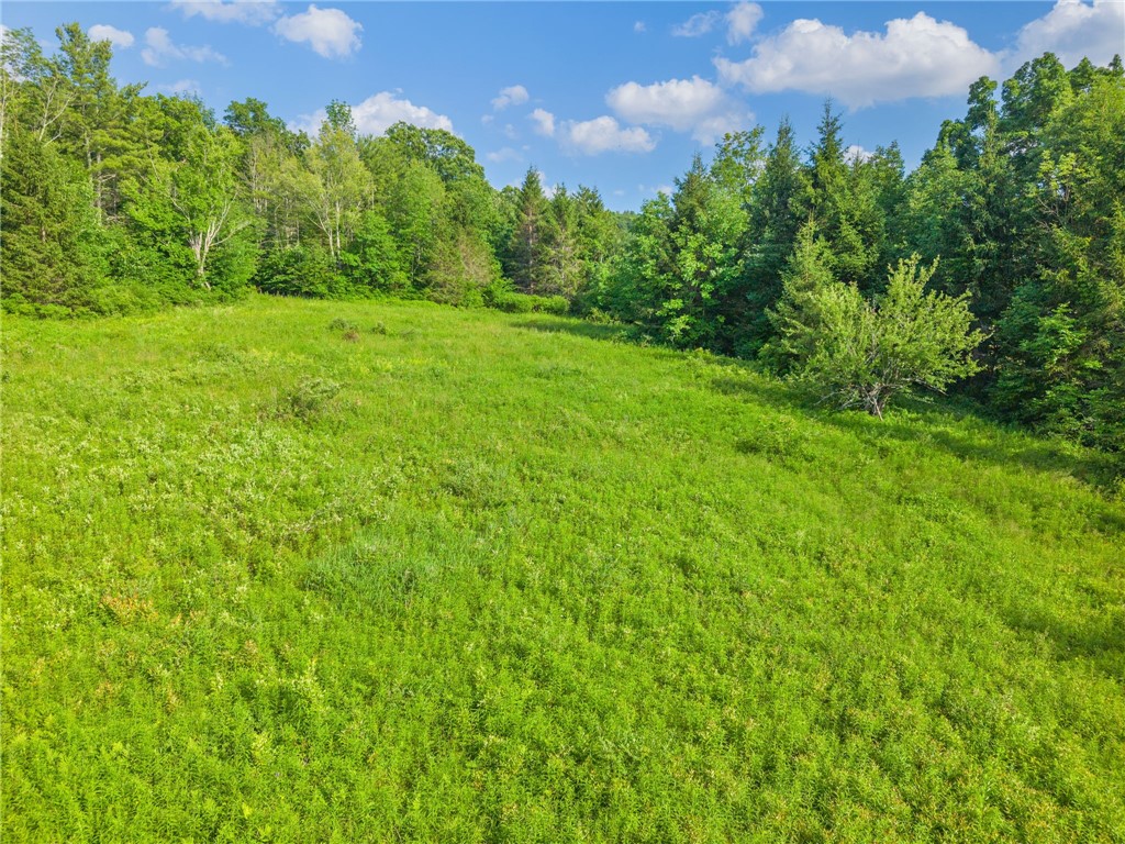 Guinea Road Middleburgh, NY 12122 - Photo 6 of 10