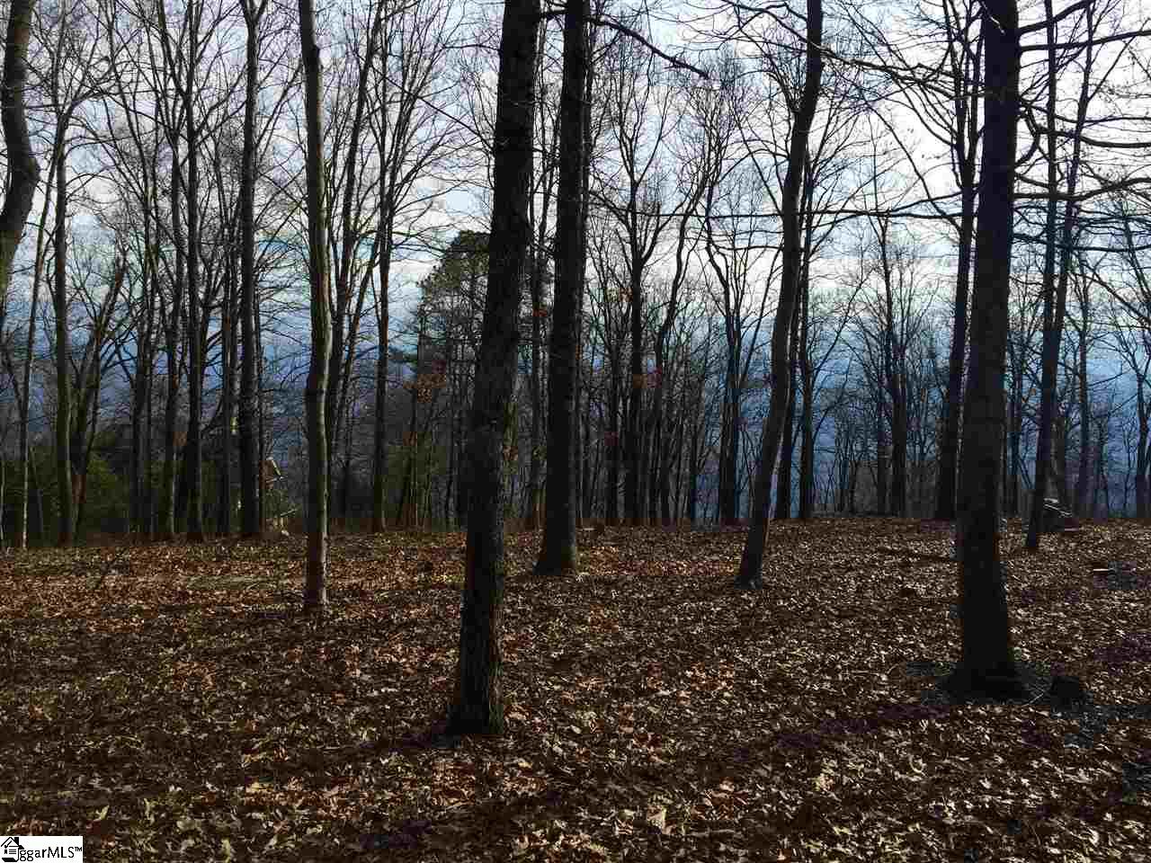 Stony Road Landrum, SC 29356 - Photo 2 of 5 Gallery Image 2