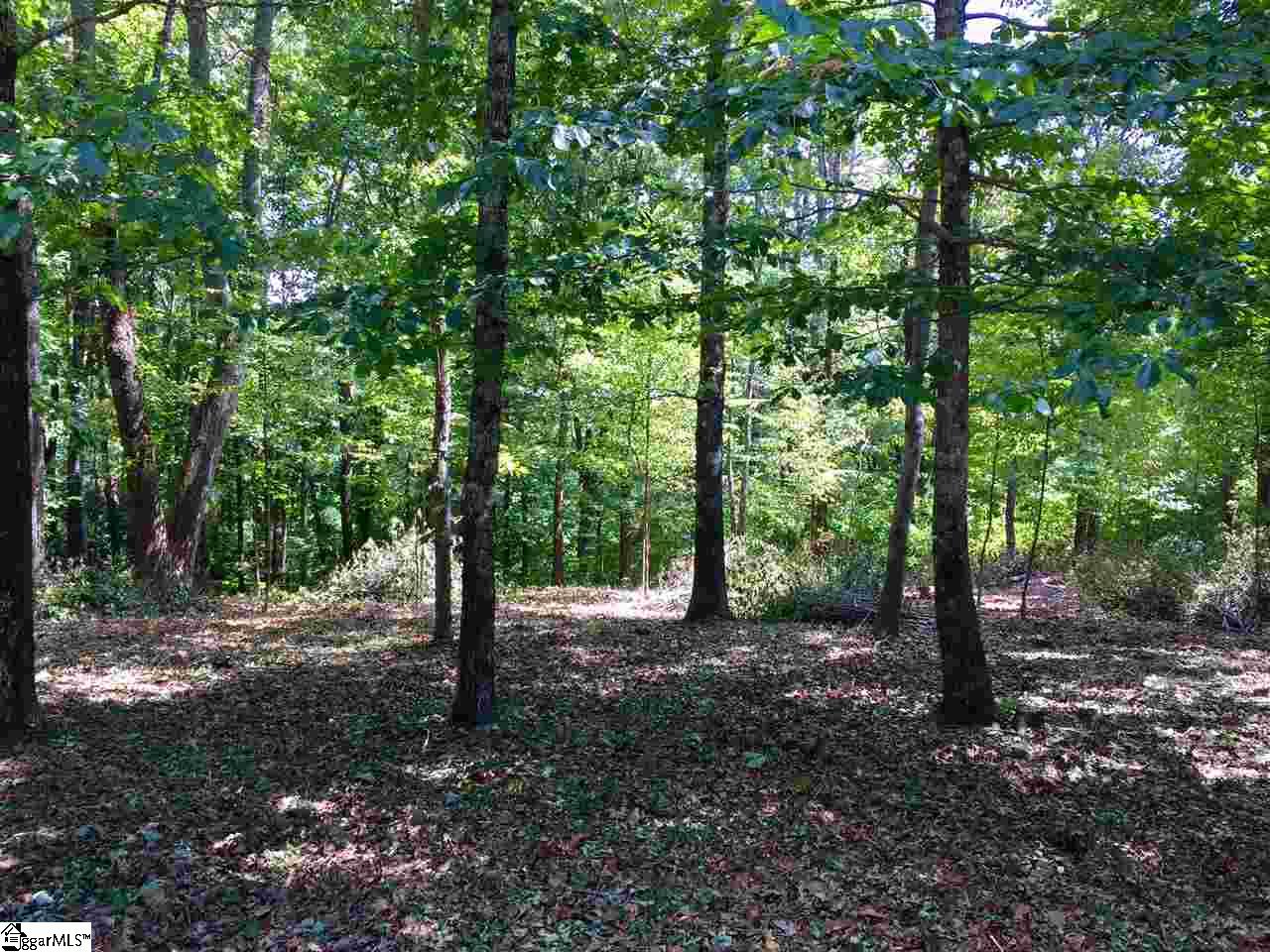 Stony Road Landrum, SC 29356 - Photo 3 of 5 Gallery Image 3