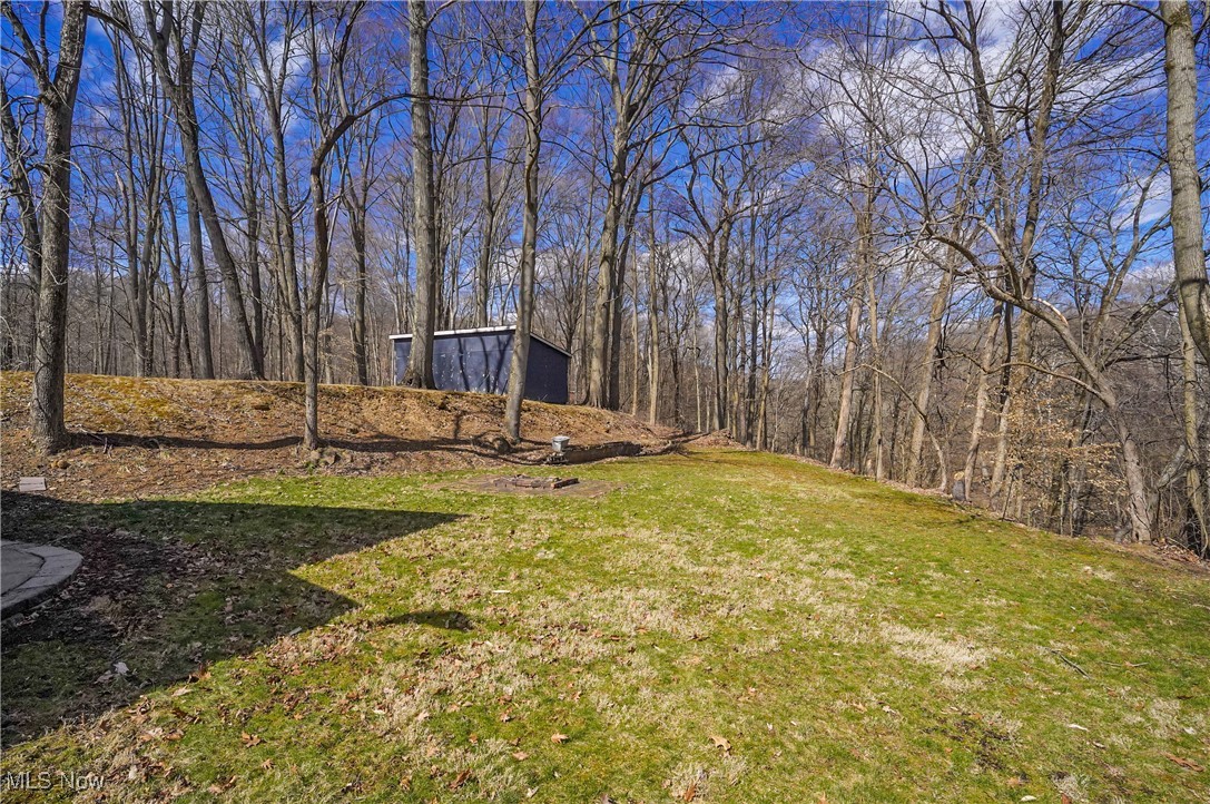 35977 Teegarden Road Salem, OH 44460 - Photo 44 of 50 View of yard featuring a forest view