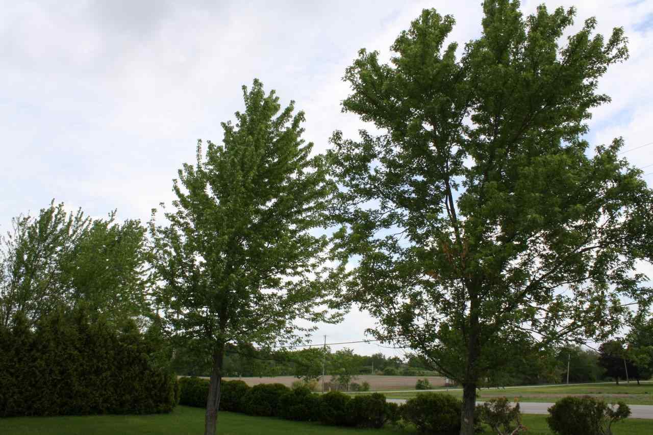 14101 Tonkel Road Fort Wayne, IN 46845 - Photo 11 of 30