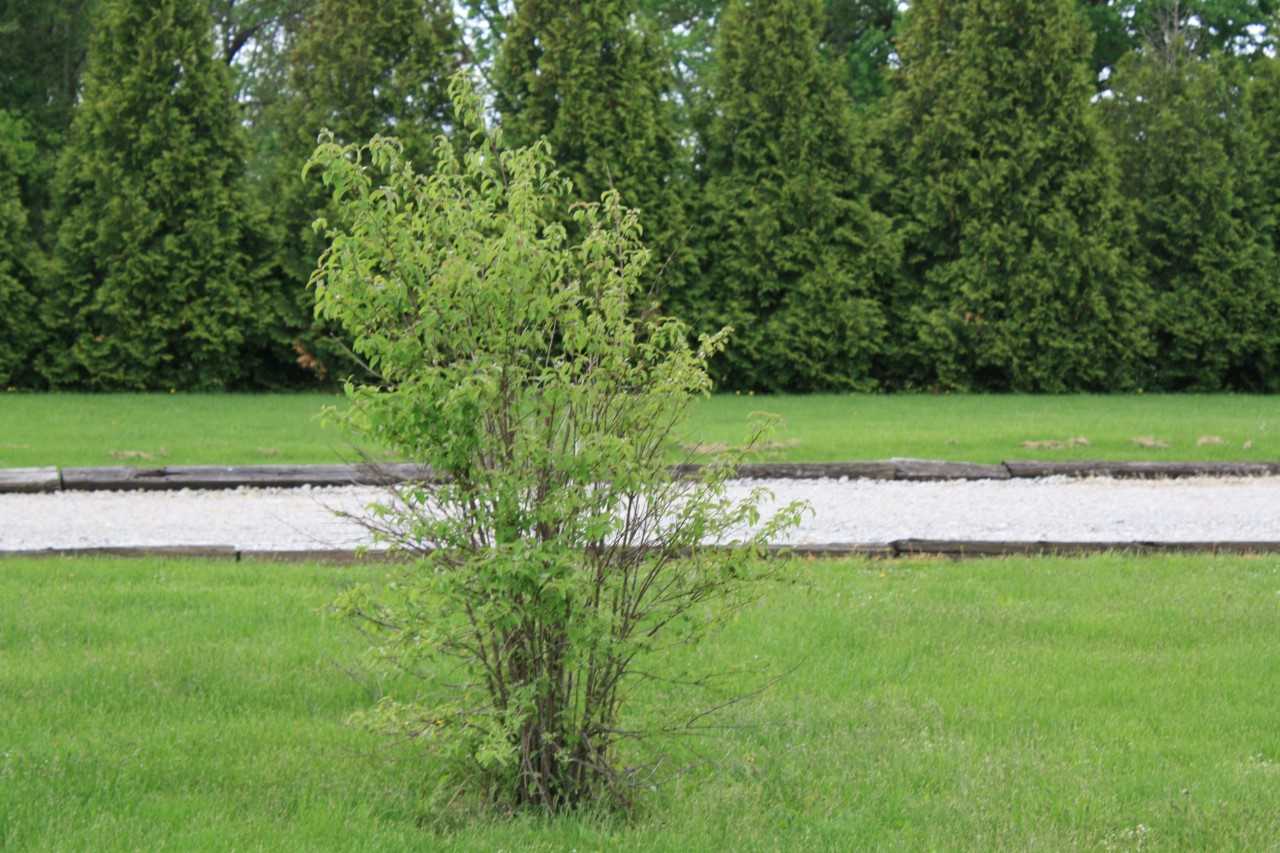 14101 Tonkel Road Fort Wayne, IN 46845 - Photo 12 of 30