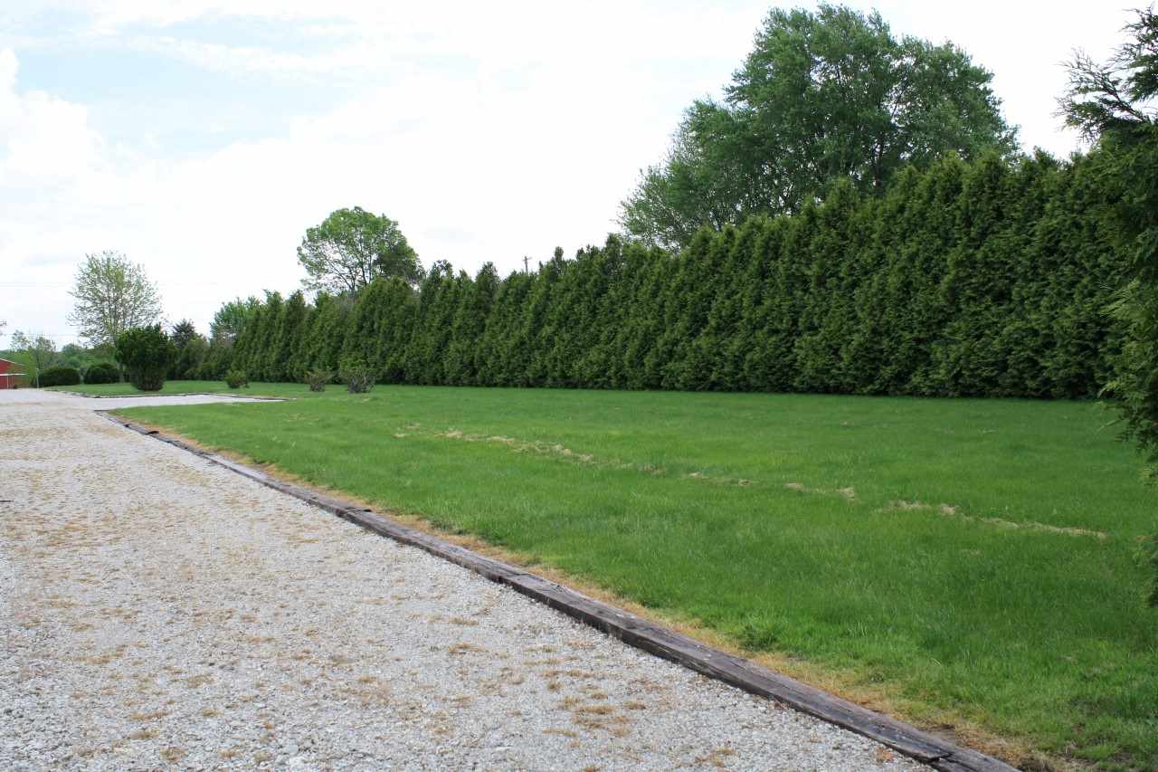 14101 Tonkel Road Fort Wayne, IN 46845 - Photo 16 of 30