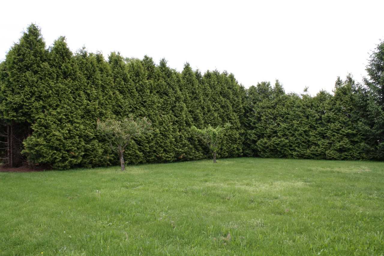 14101 Tonkel Road Fort Wayne, IN 46845 - Photo 20 of 30