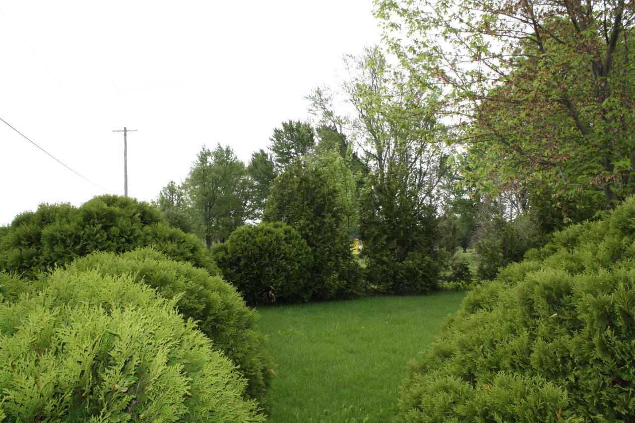 14101 Tonkel Road Fort Wayne, IN 46845 - Photo 3 of 30
