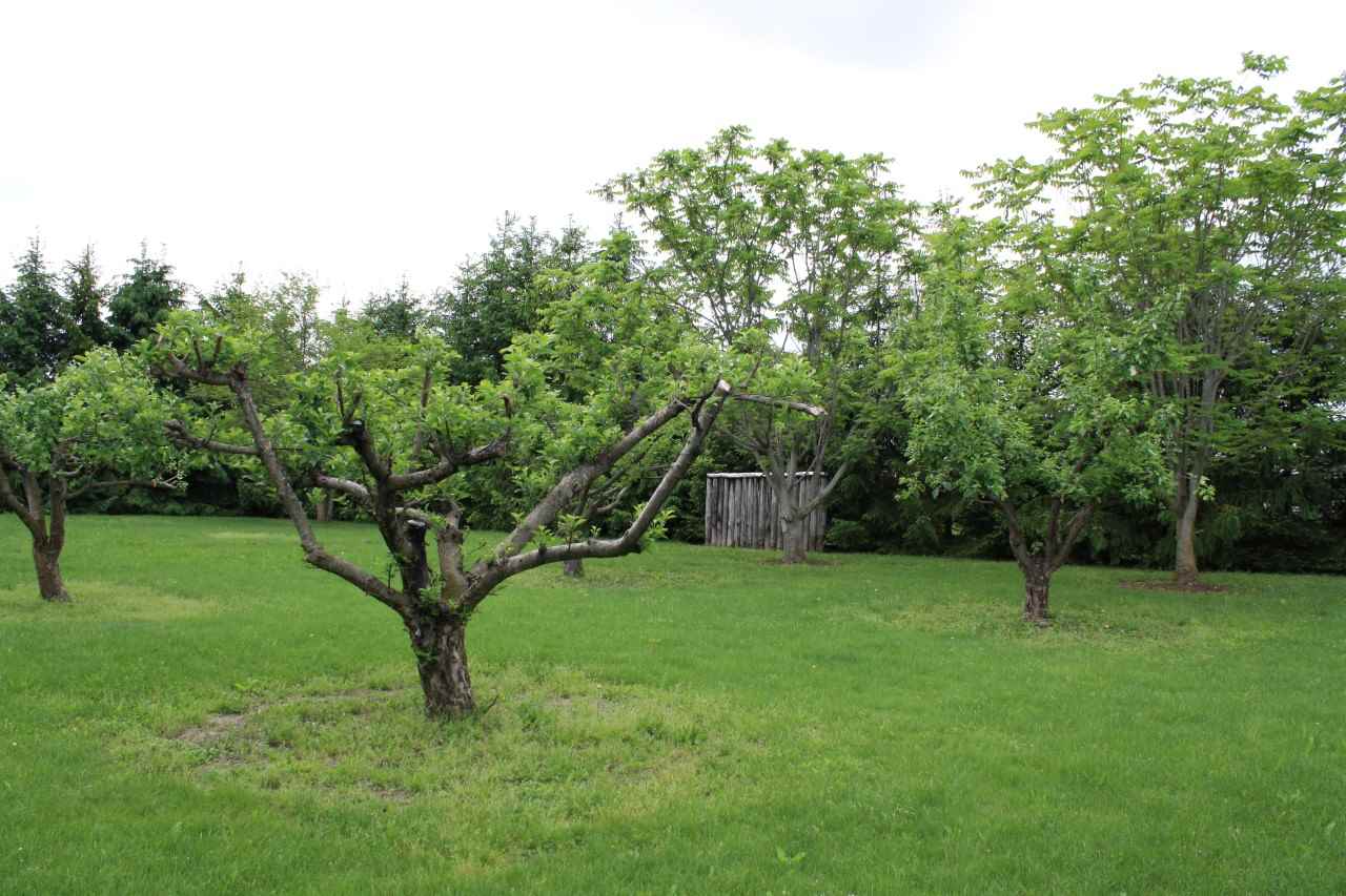 14101 Tonkel Road Fort Wayne, IN 46845 - Photo 23 of 30