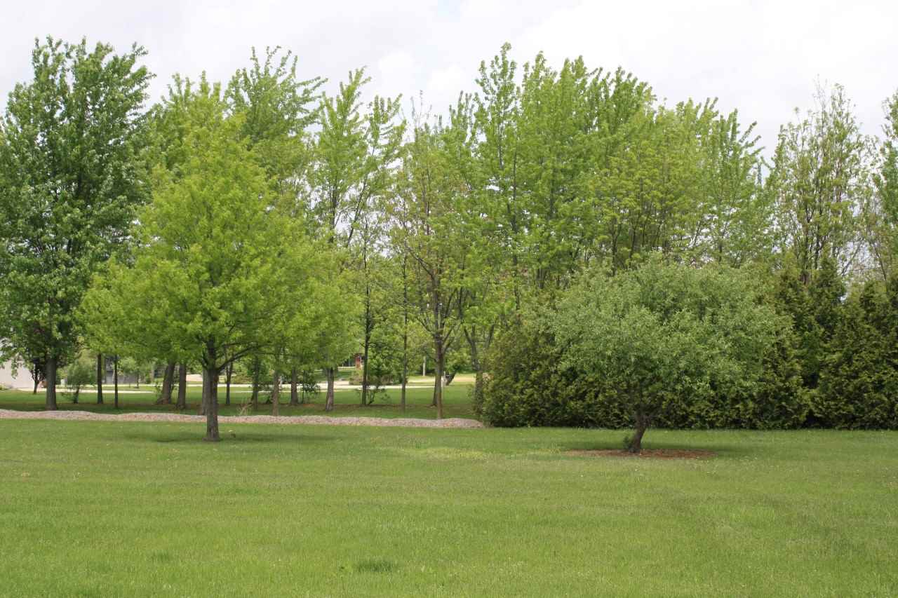 14101 Tonkel Road Fort Wayne, IN 46845 - Photo 10 of 30