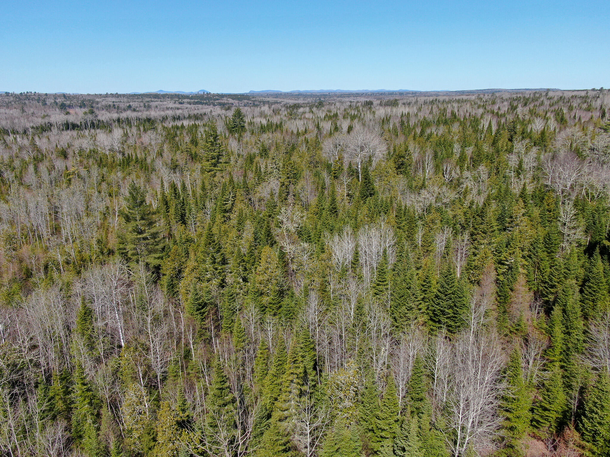 144 Black Water Road Ashland, ME 04732 - Photo 6 of 35 DJI_0220