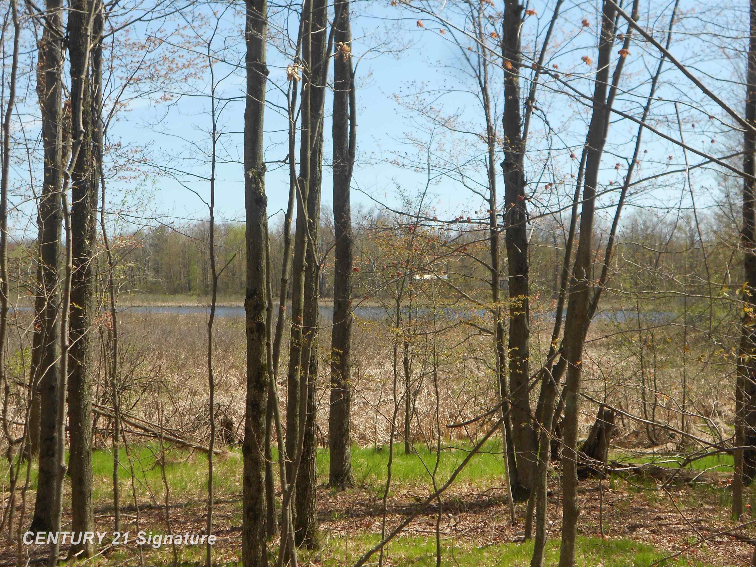 5185 Henderson Lake Road Prescott, MI 48756 - Photo 39 of 39 50116528-4e4e4caf-0229-4fc2-99f2-f98dec1ea2db.JPG