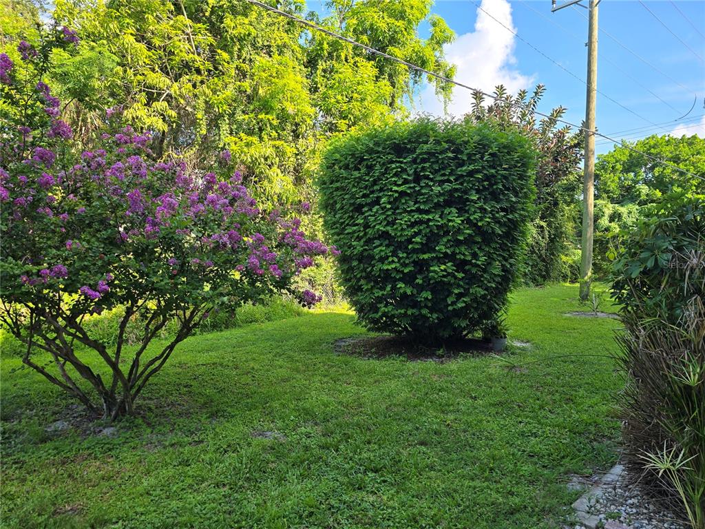 5850 Welcome Road, Unit J6 Bradenton, FL 34207 - Photo 22 of 30 a view of a garden with plants and large trees