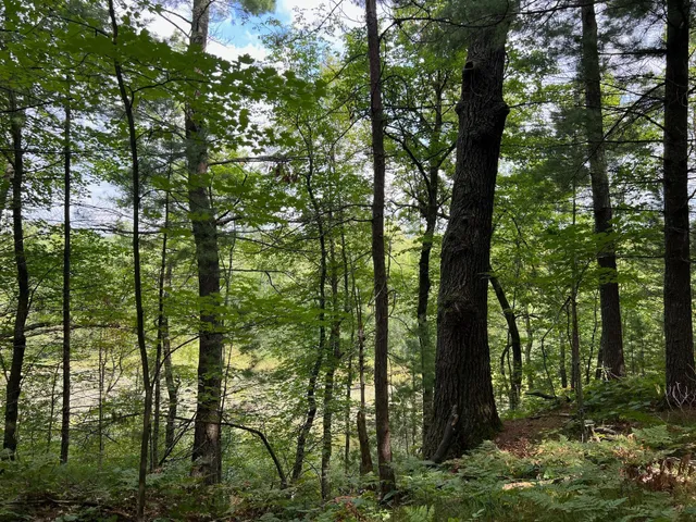 $284,900 | 8046 Moline Road, Webster, WI 54893